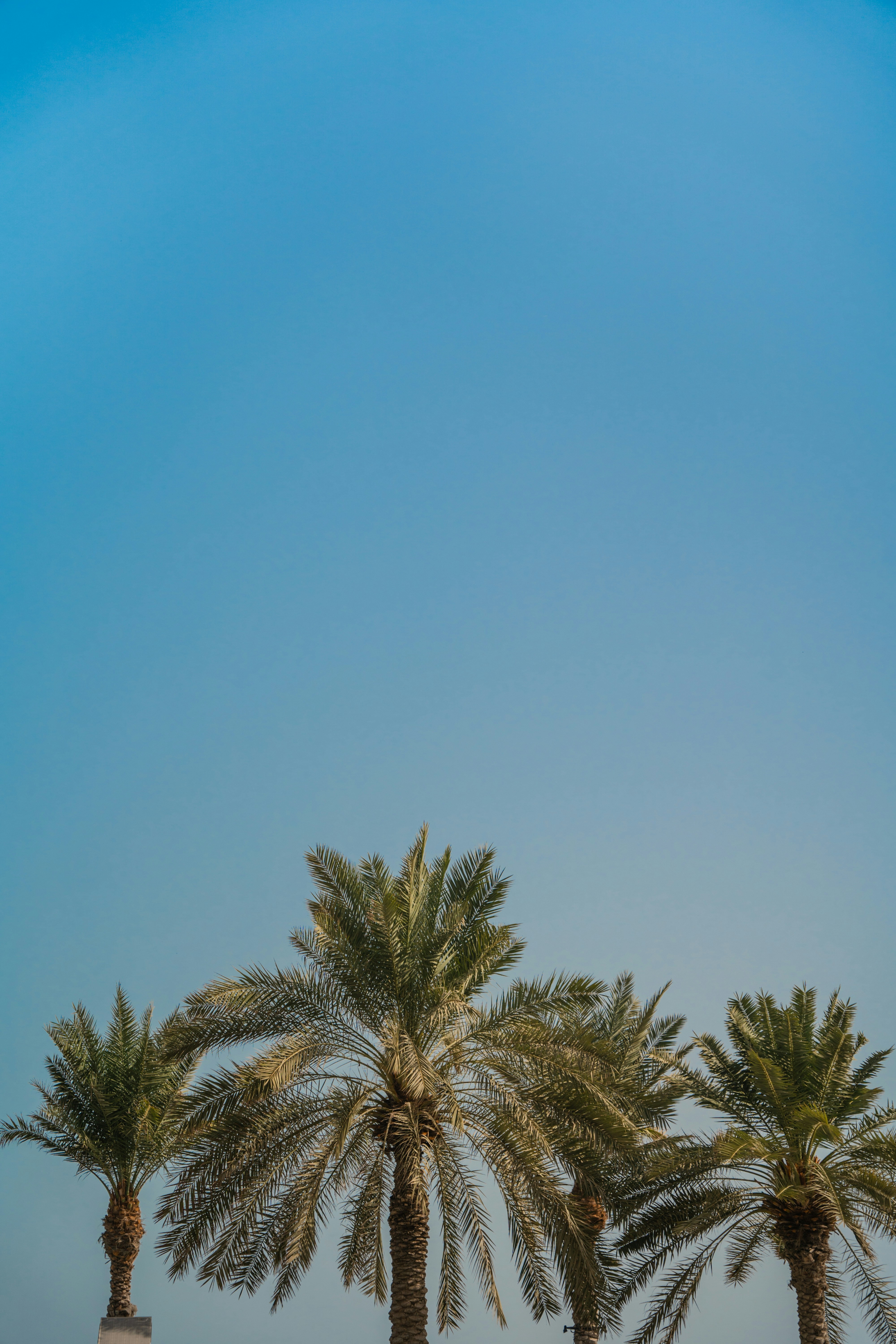 Photo by winstontjia