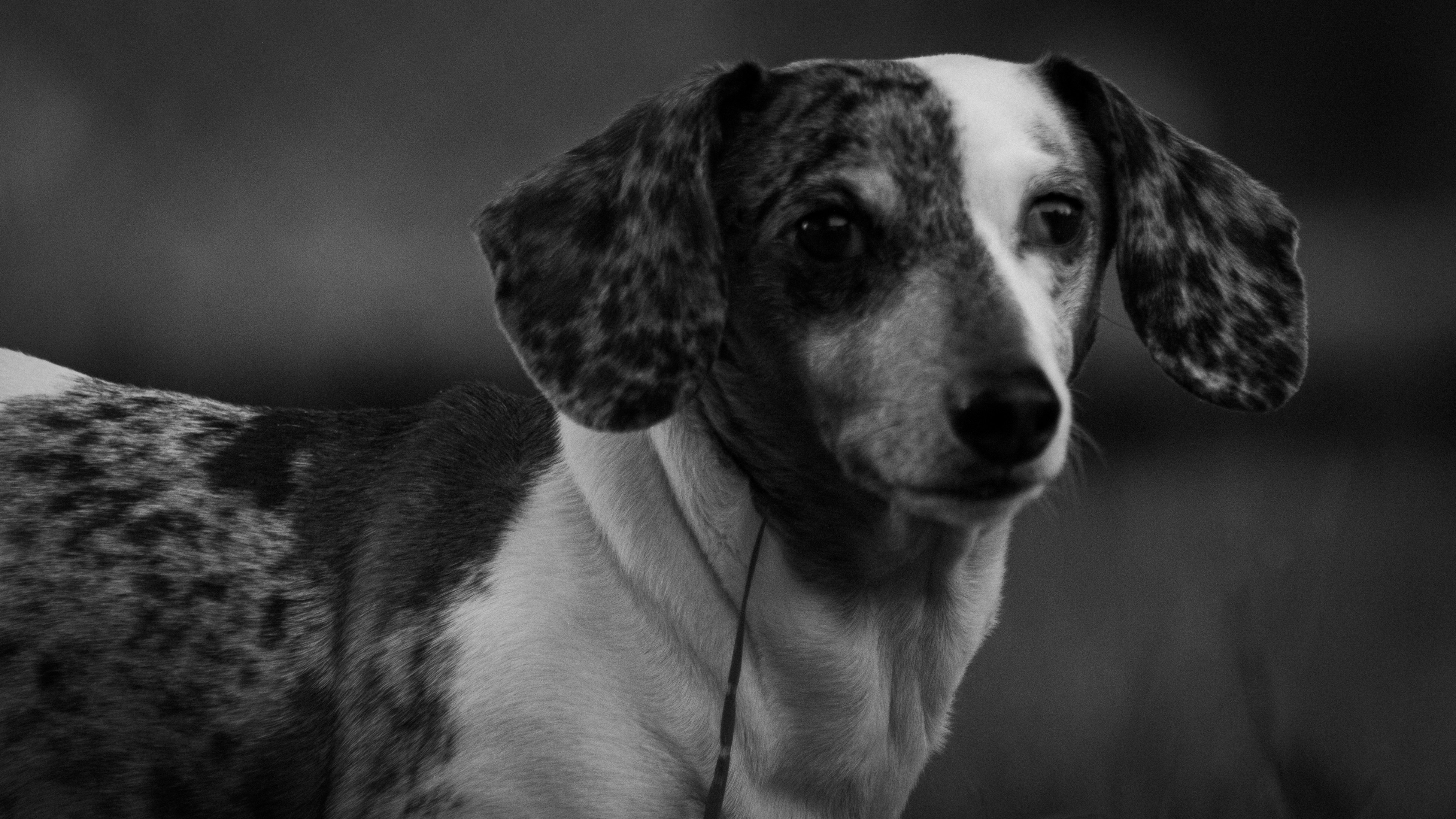 Photo by hf_photography