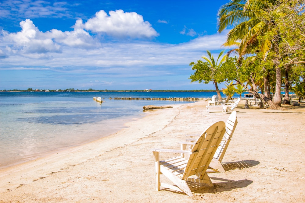 chairs on a beach