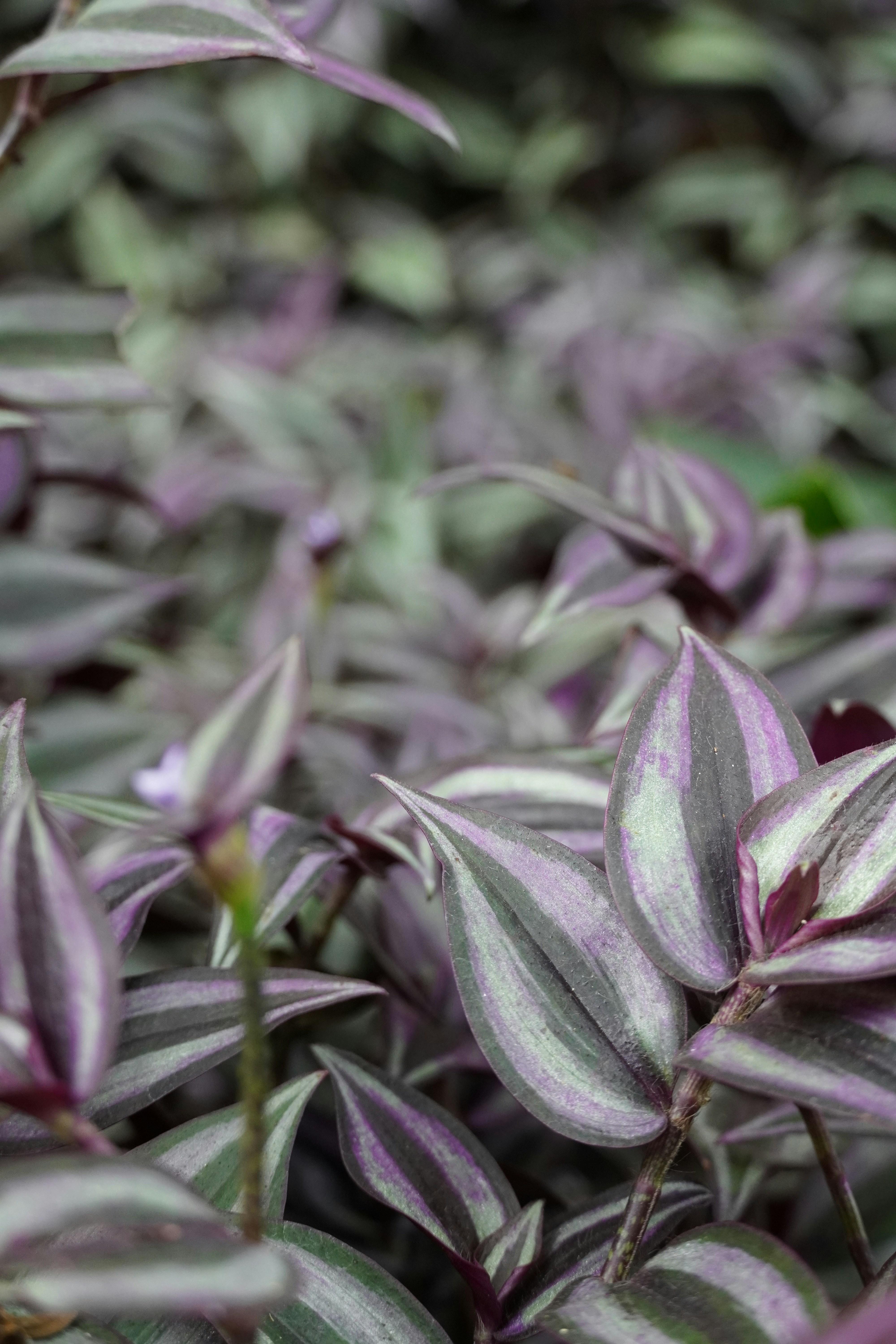 Photo by ashok_bravo