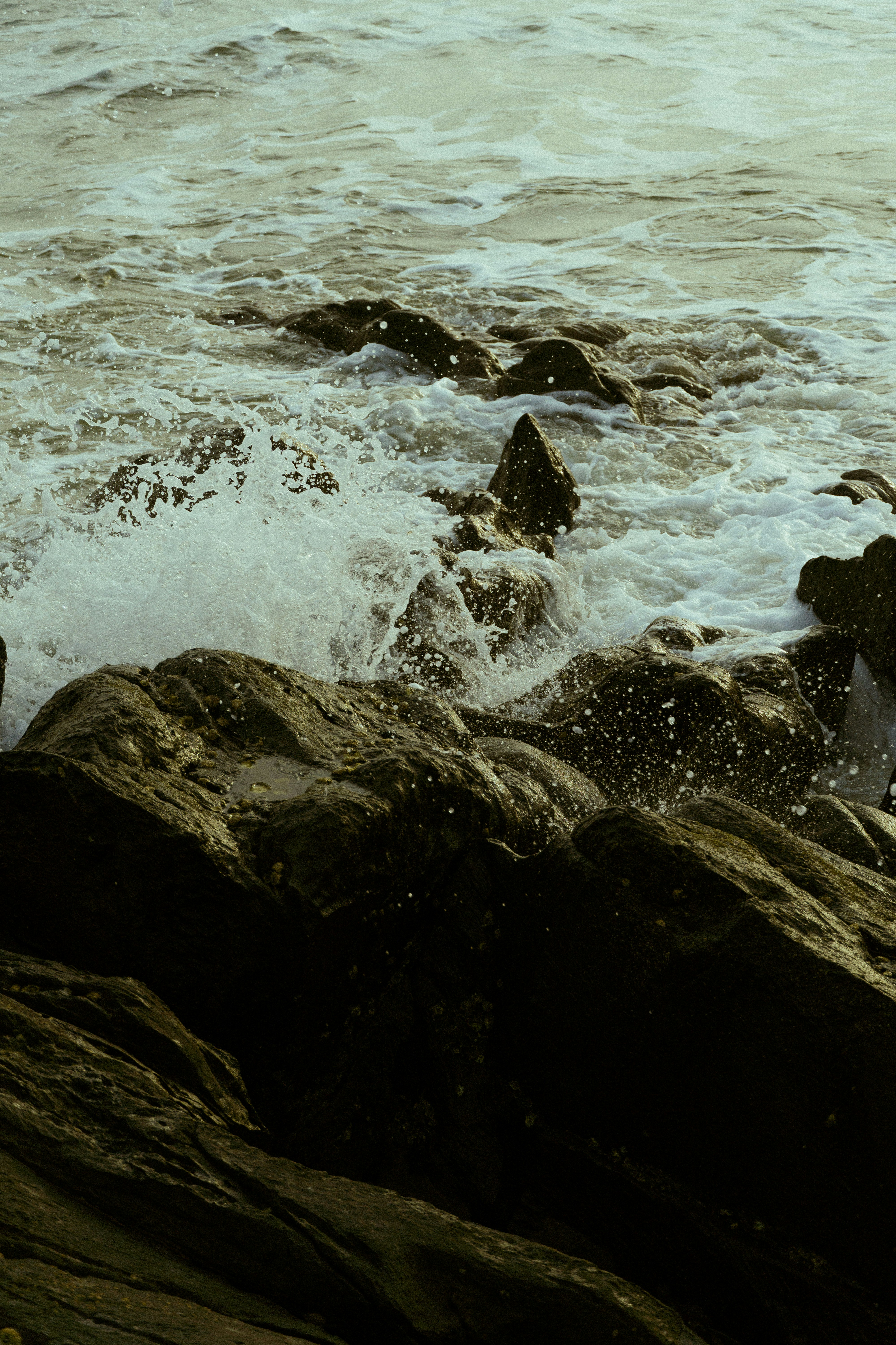 Photo by ashok_bravo