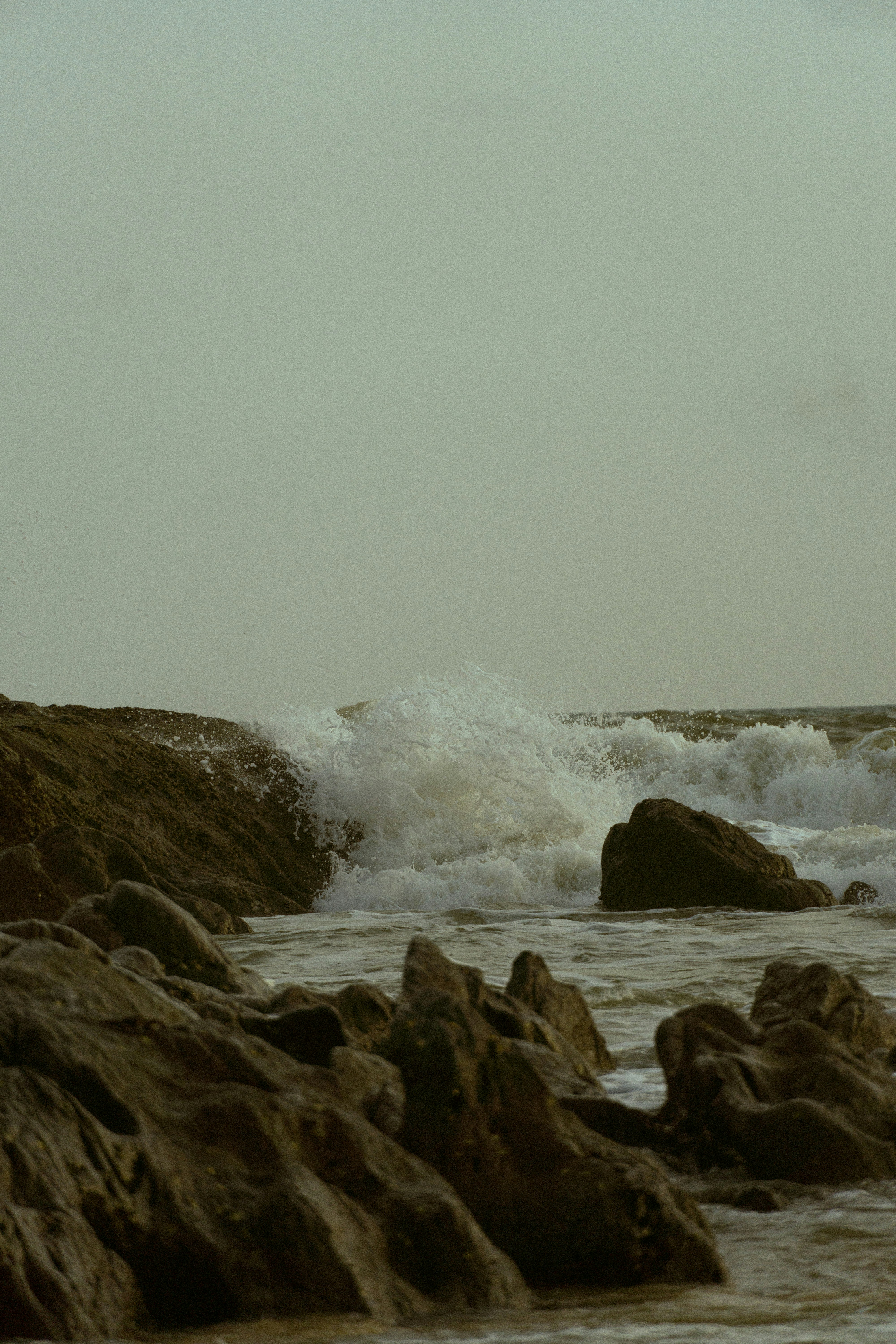 Photo by ashok_bravo