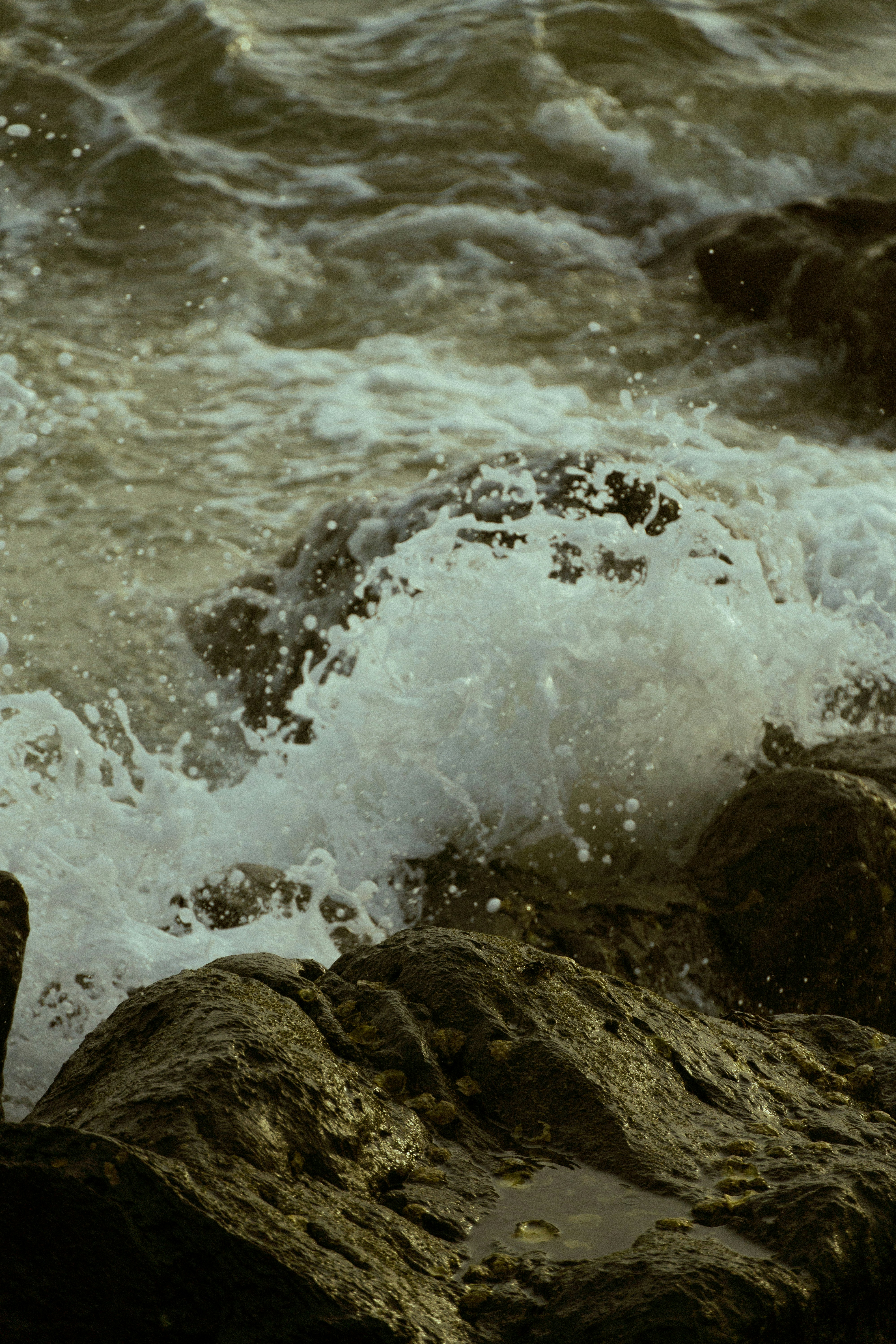 Photo by ashok_bravo