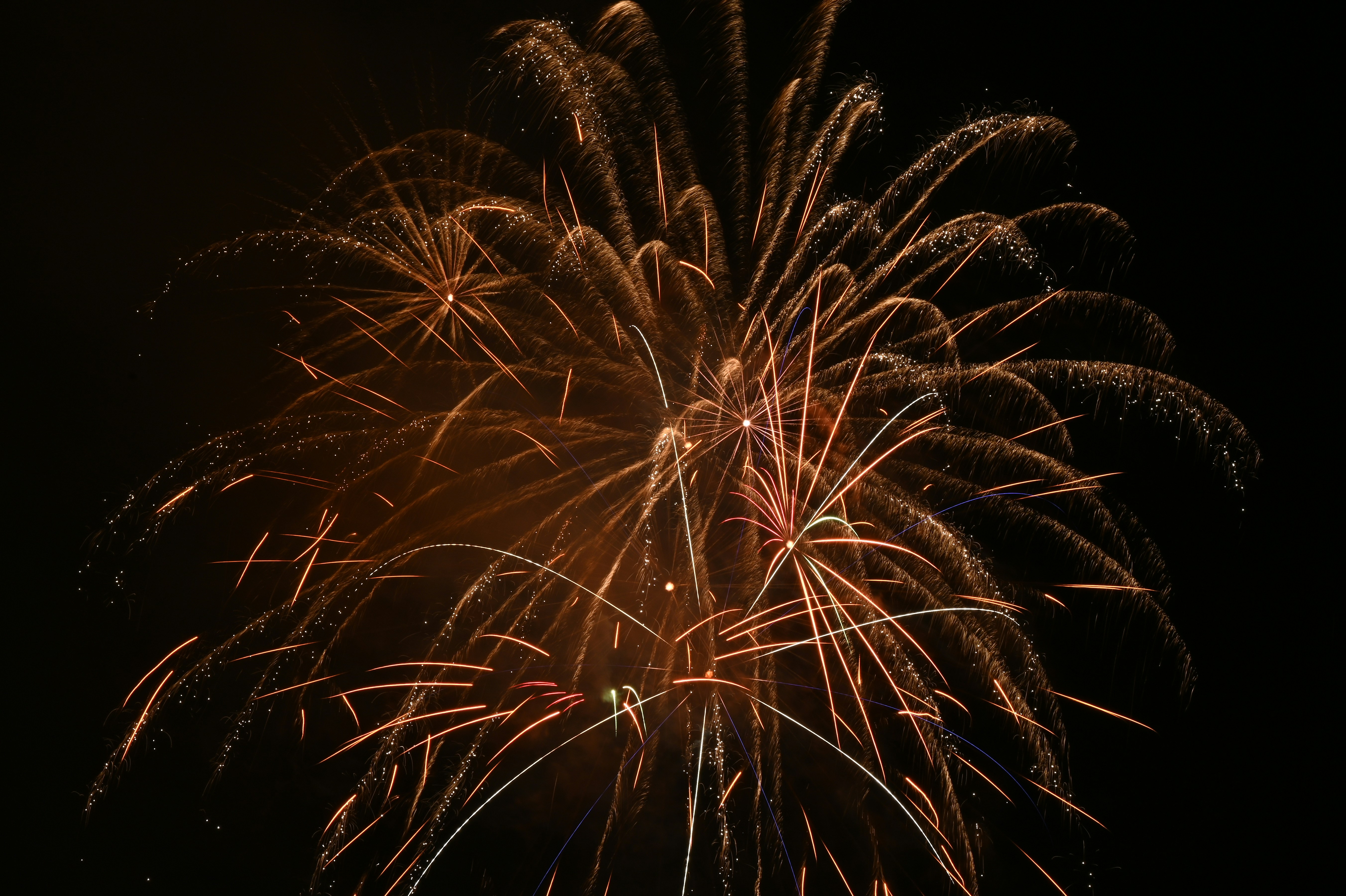 a firework exploding in the sky