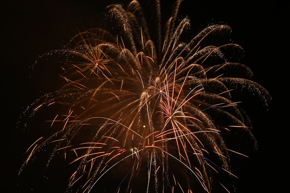 a firework exploding in the sky