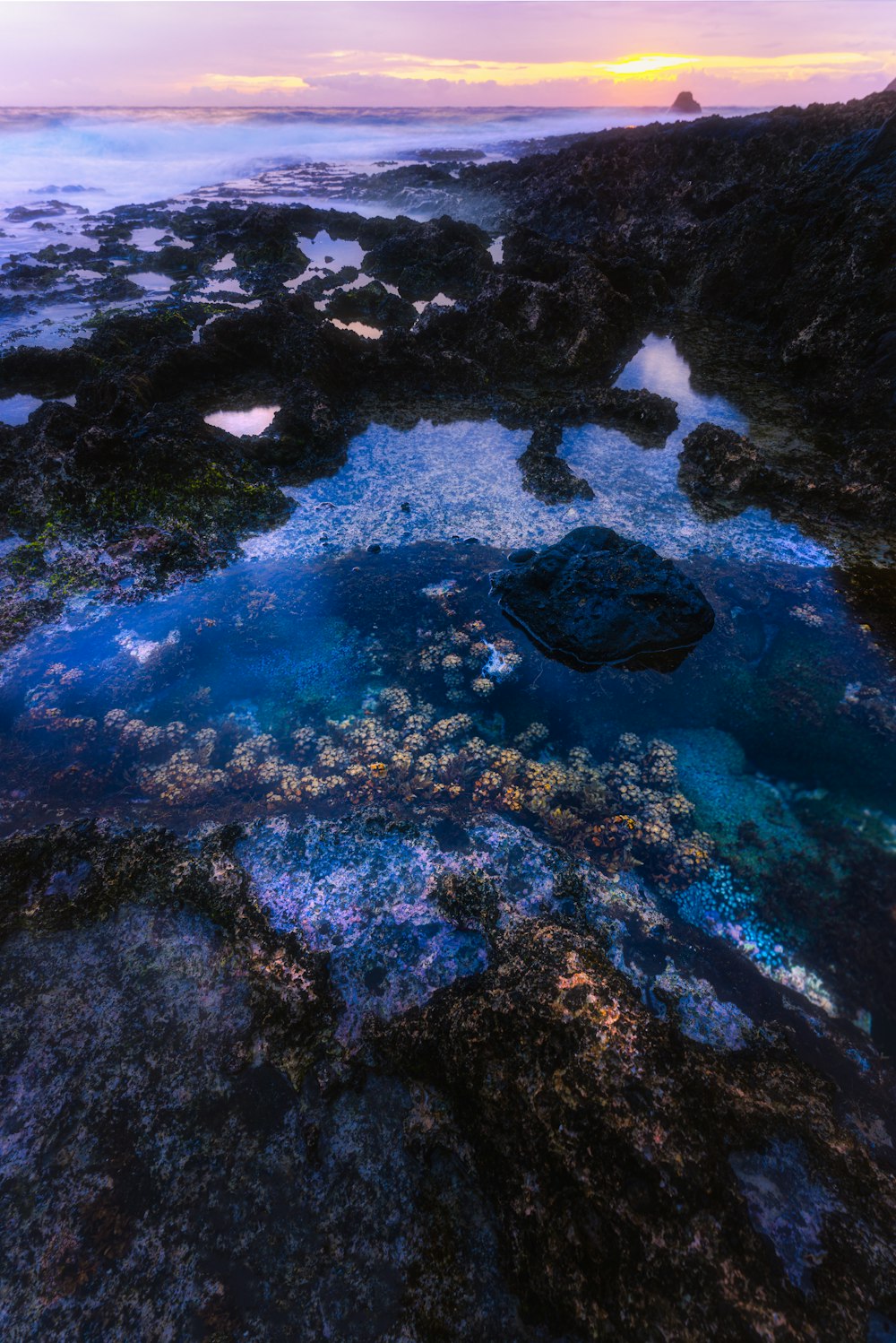 a rocky coast line