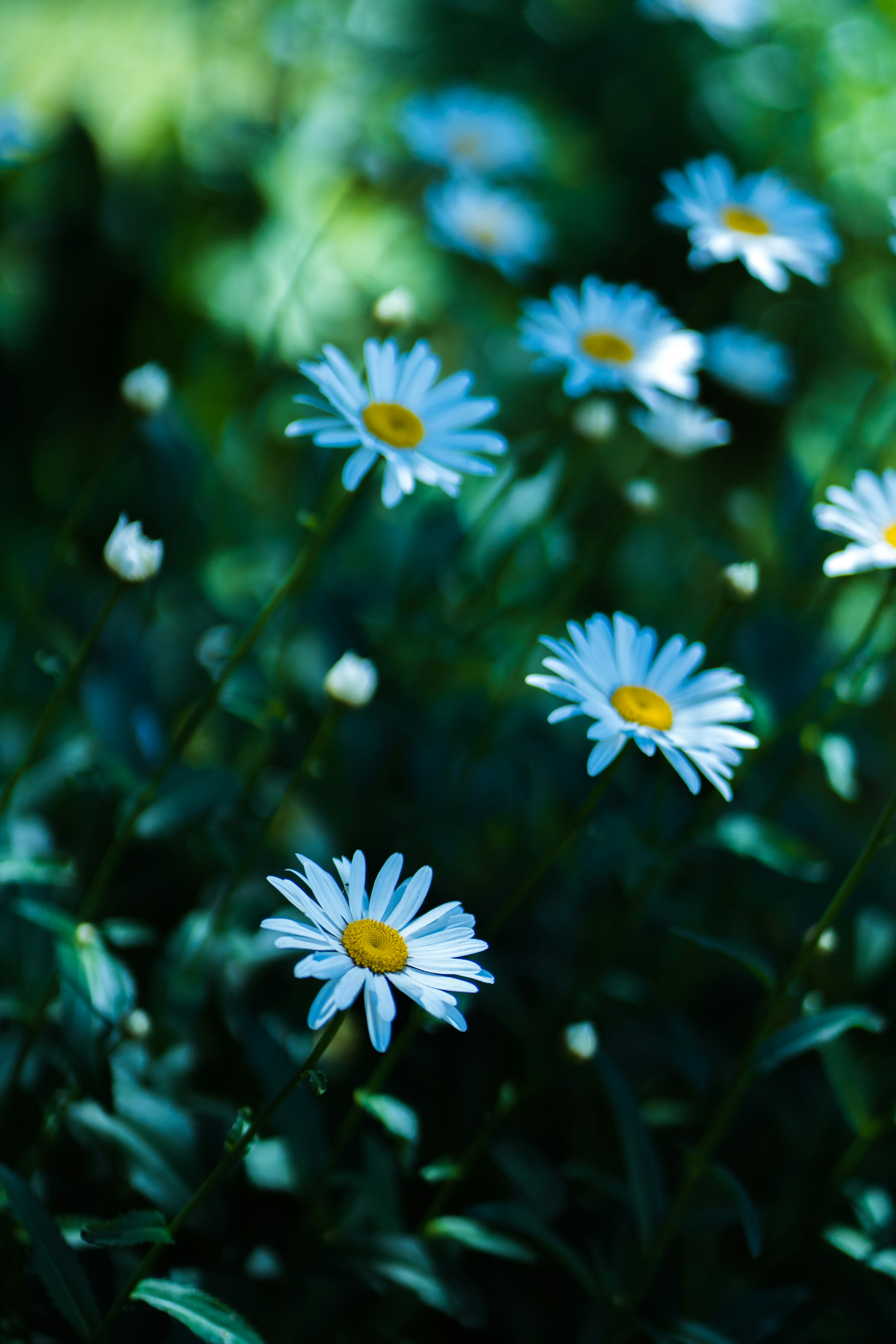 Photo by abhinav1bhardwaj