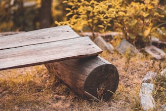 a wooden bench in a park
