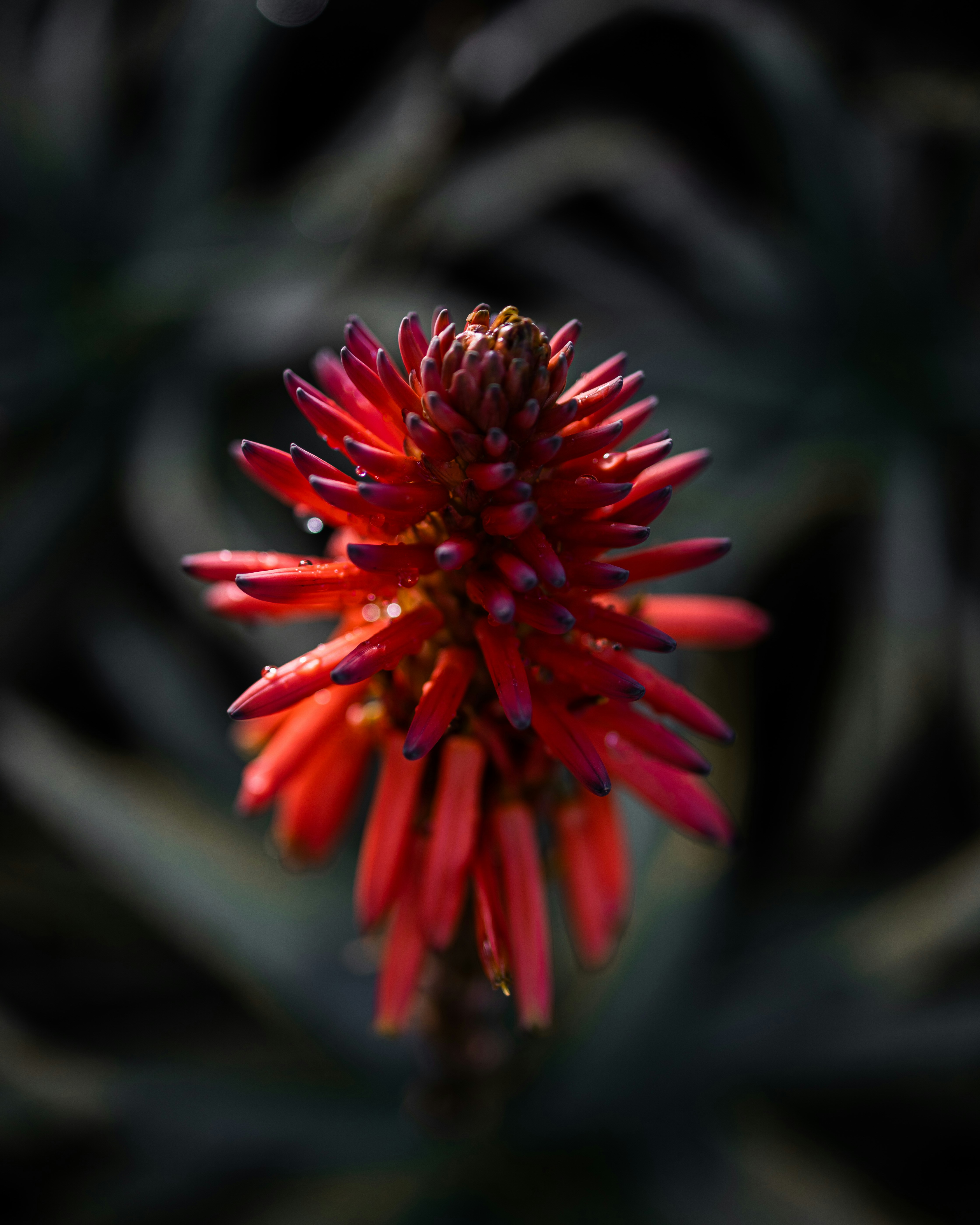 Photo by venner