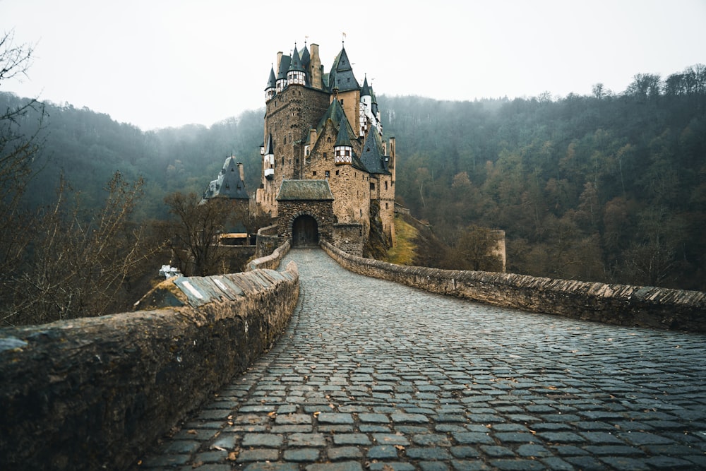 a stone walkway leading to a castle