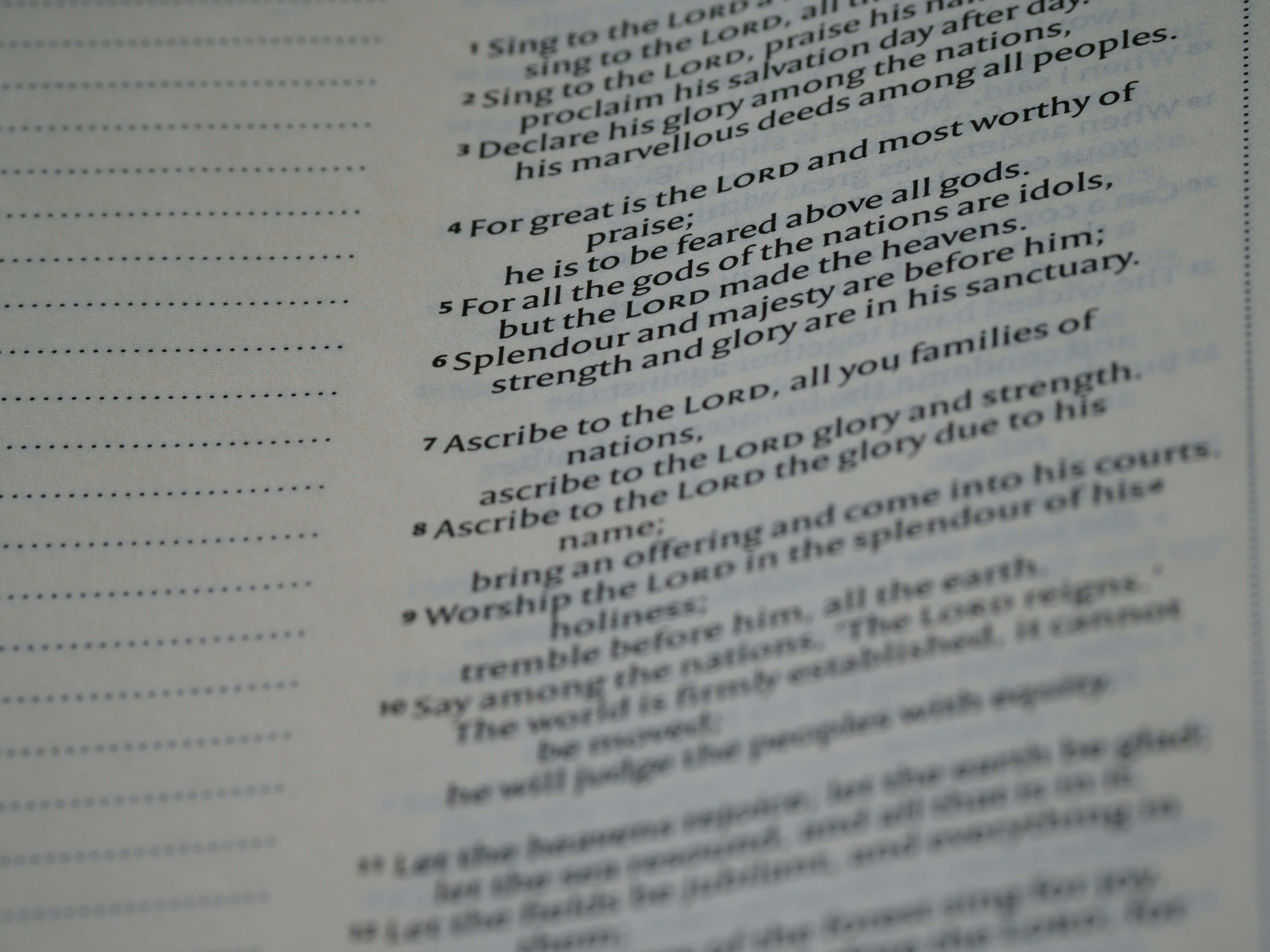 Photo by brett_jordan