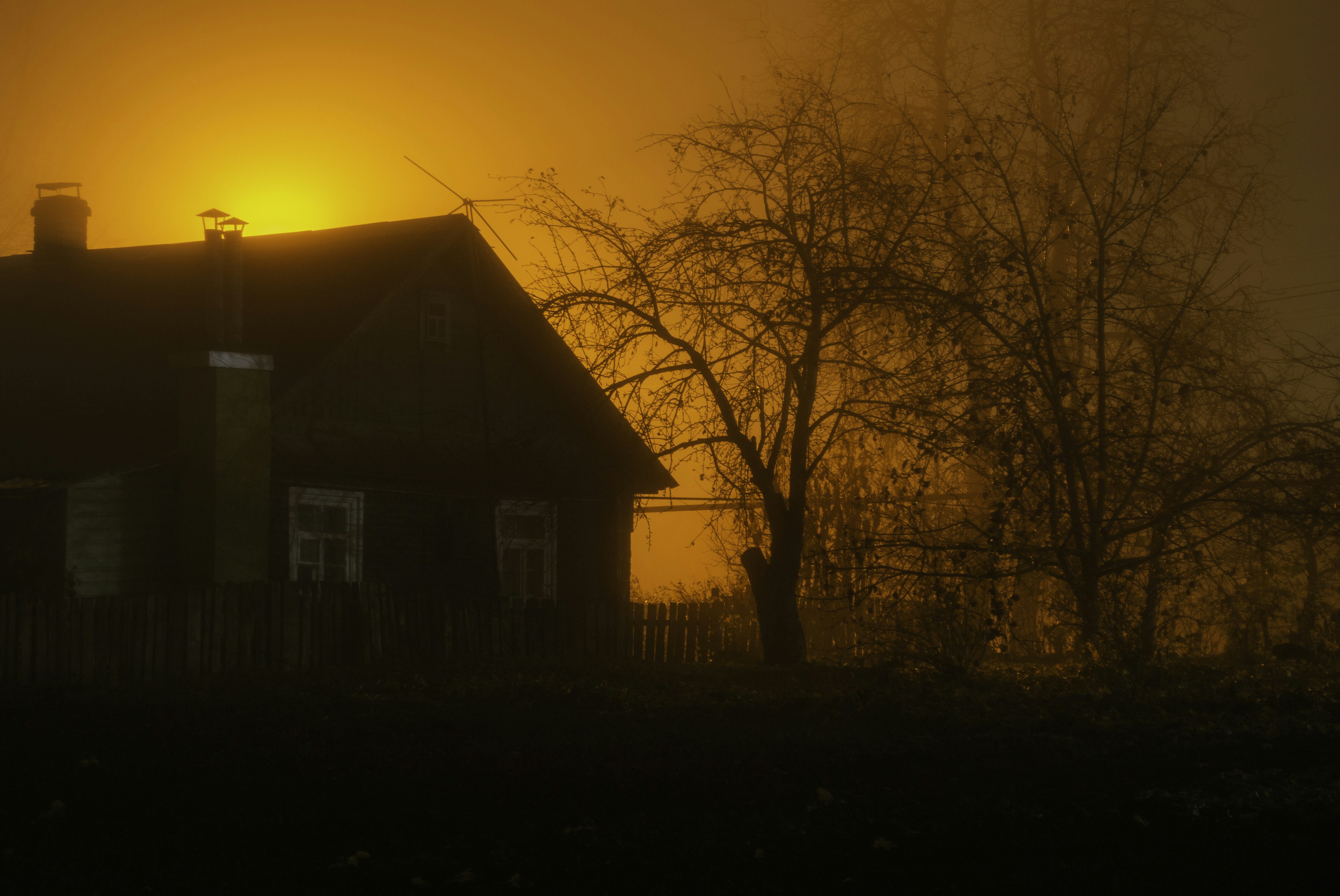 Photo by madden32