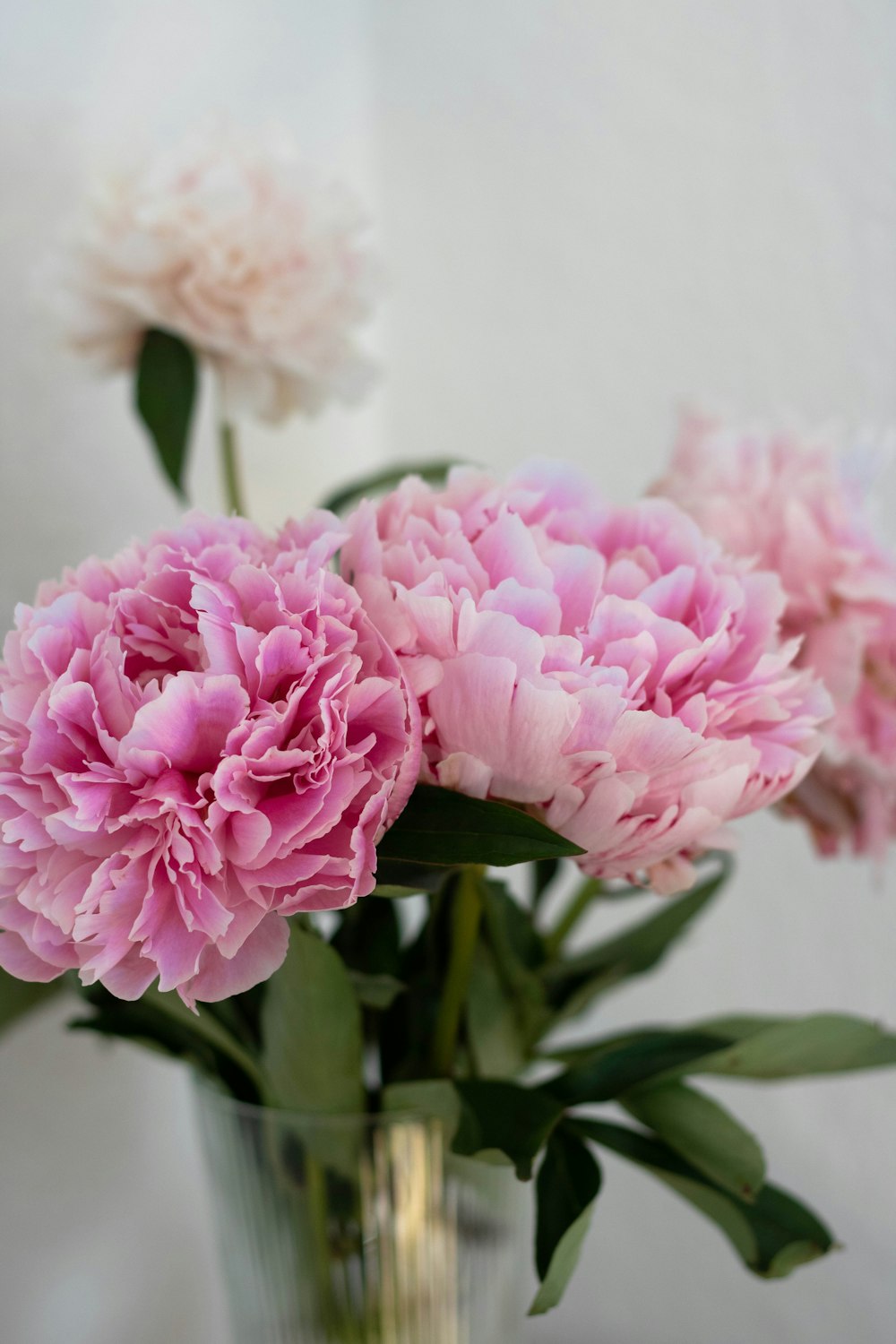 a vase with pink flowers