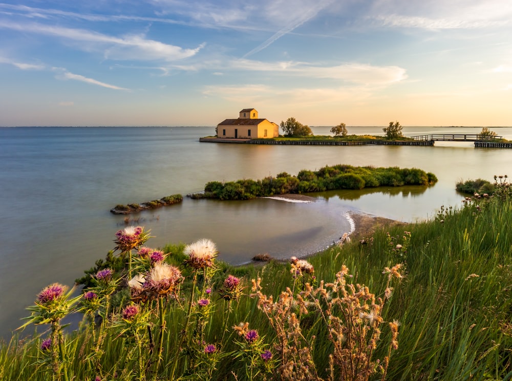 a body of water with a building on the shore