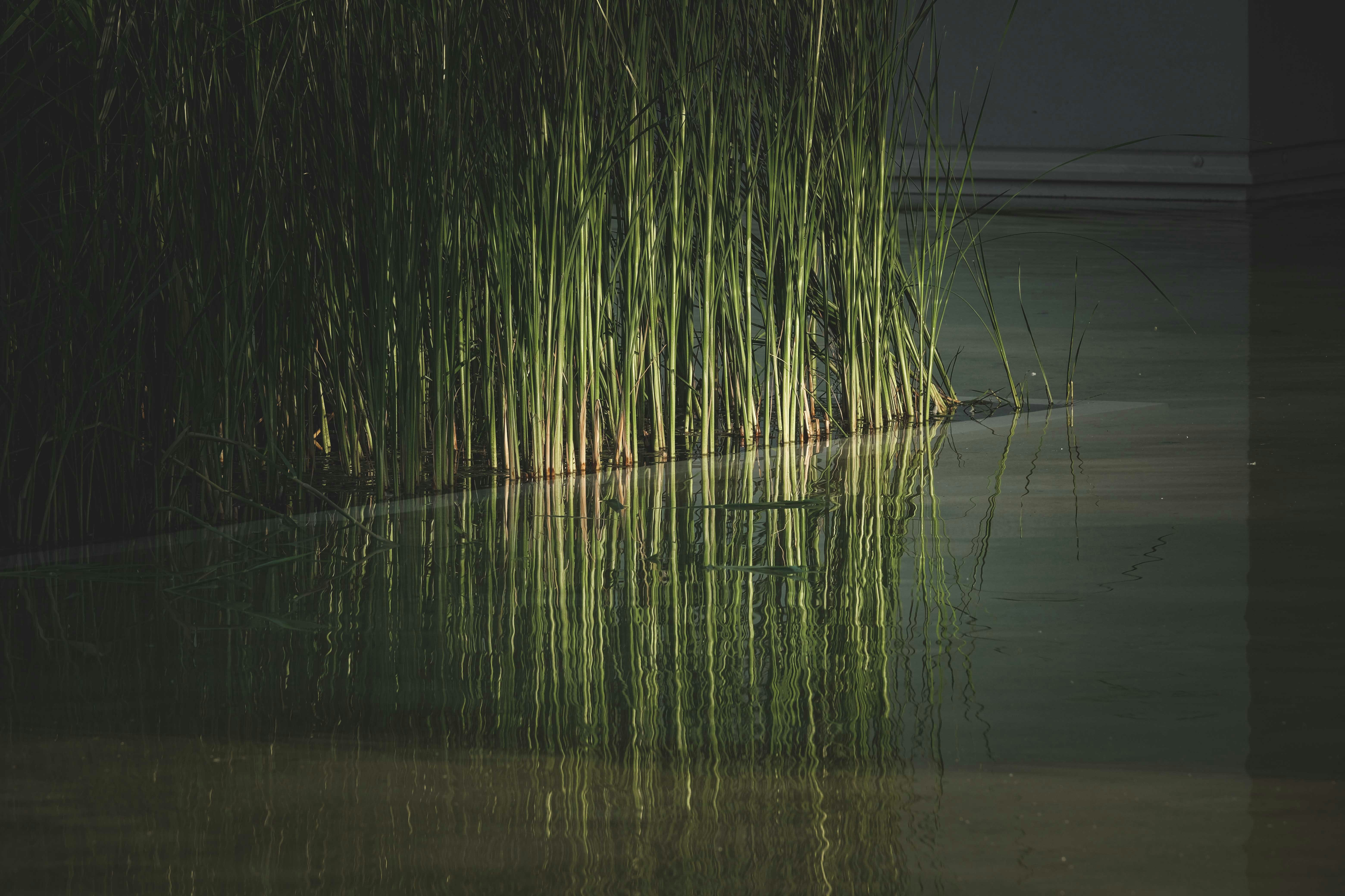 Photo by francesco_ungaro