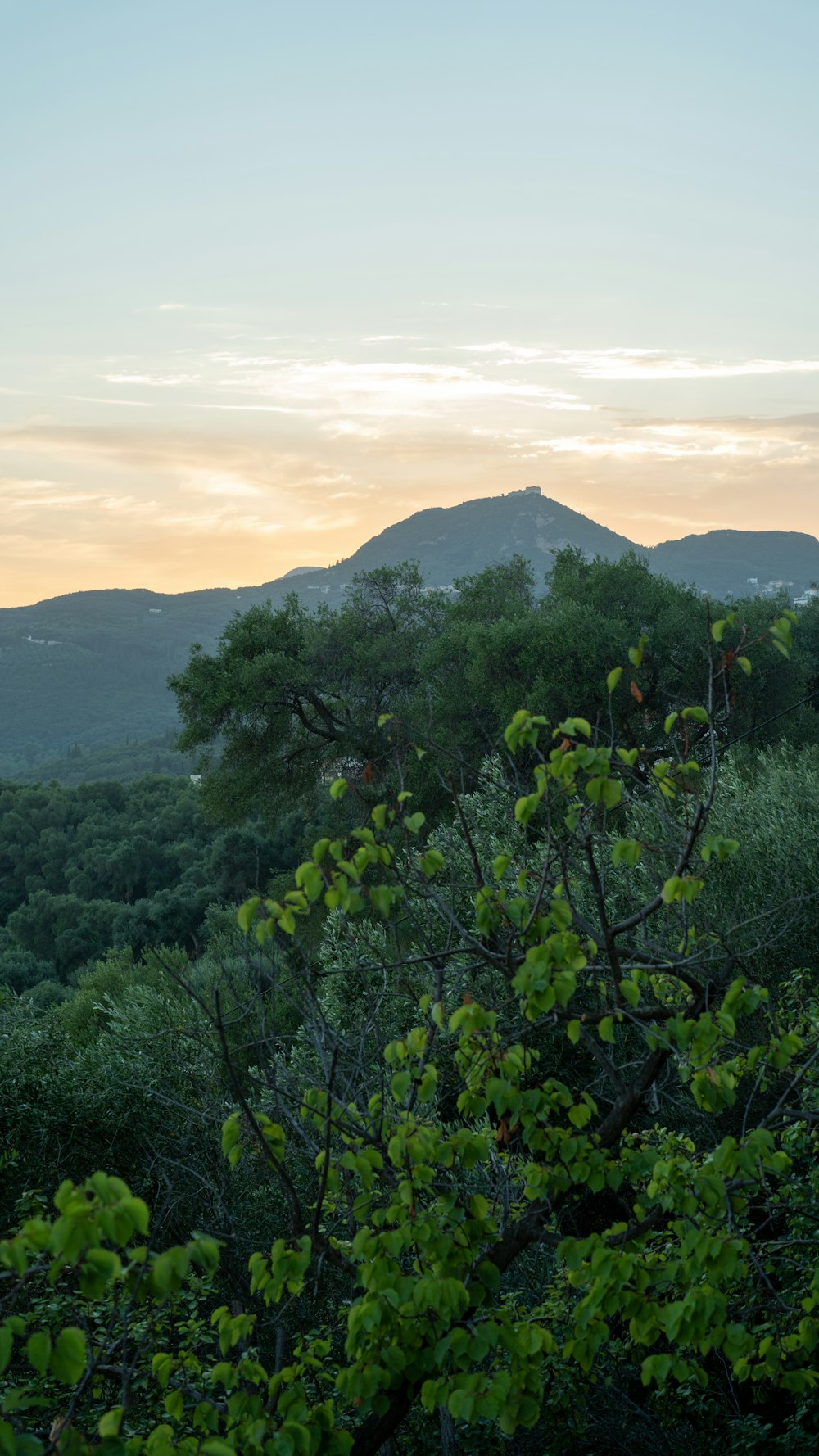 a mountain range in the distance