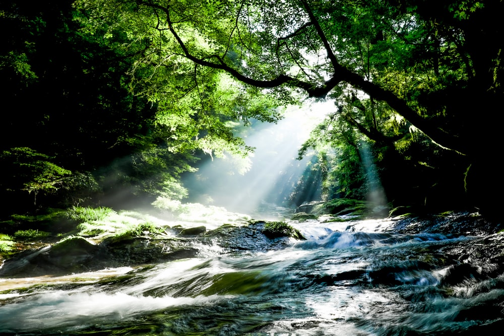 a waterfall in a forest