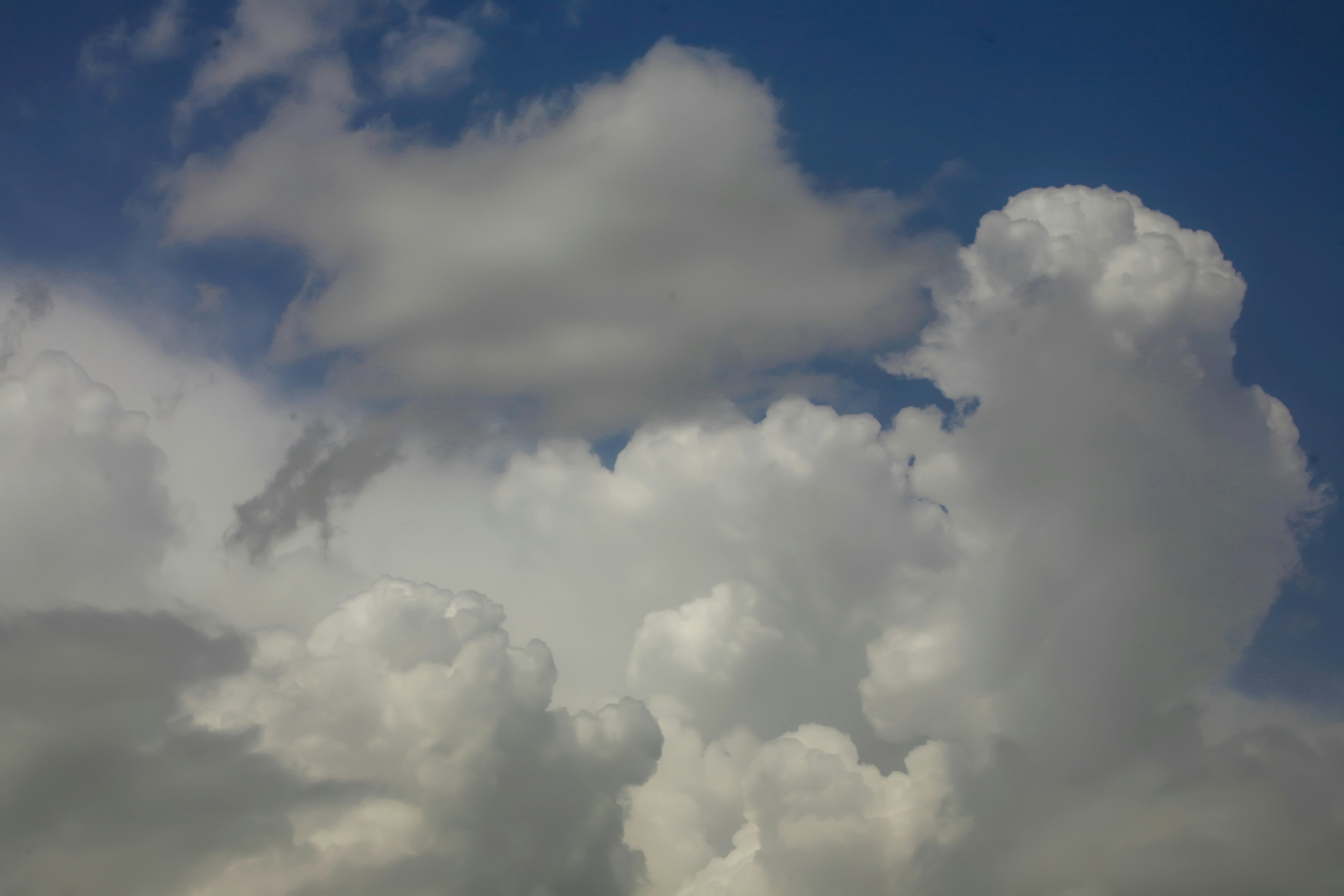 Photo by akbarnemati