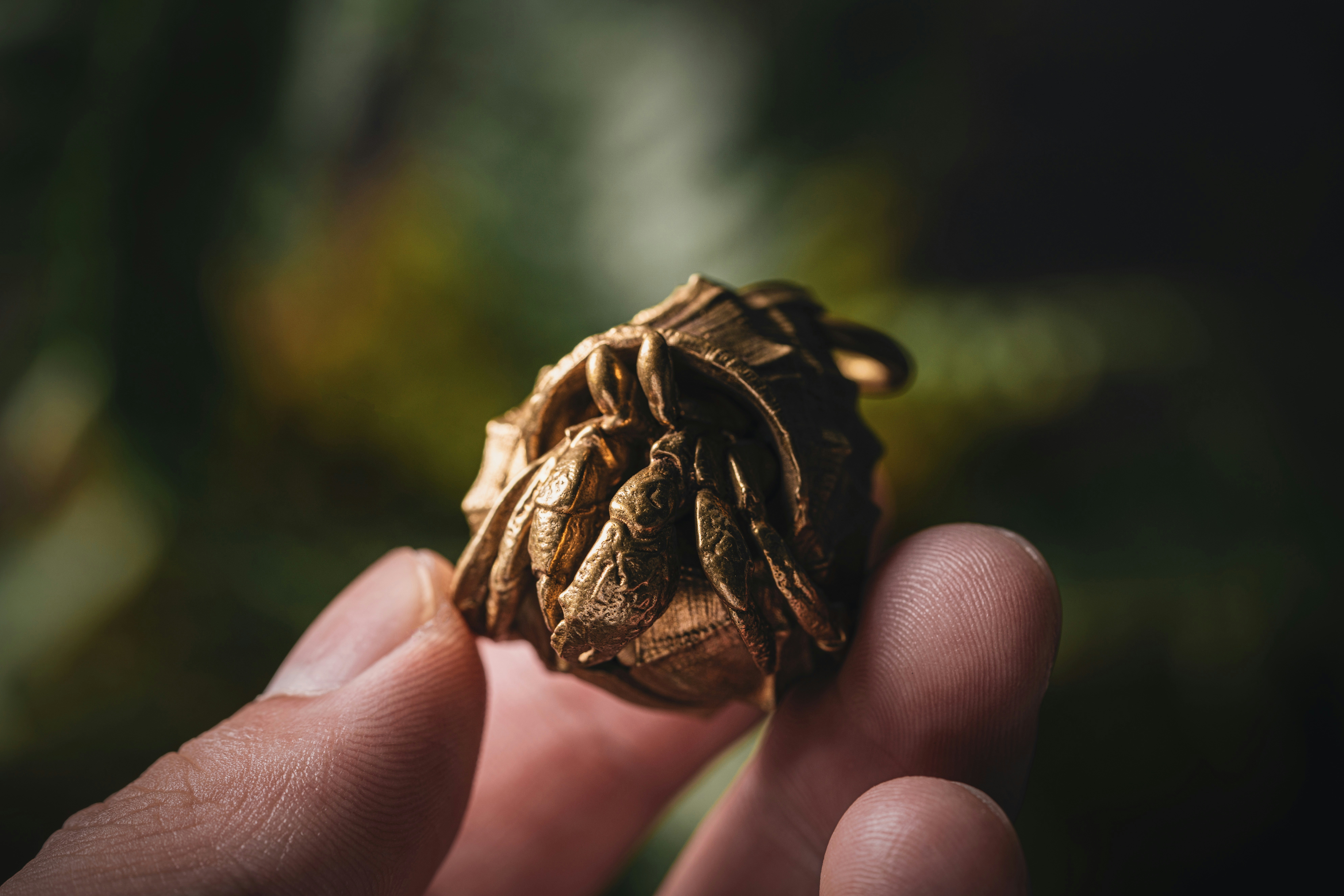 Photo by coppertistwu