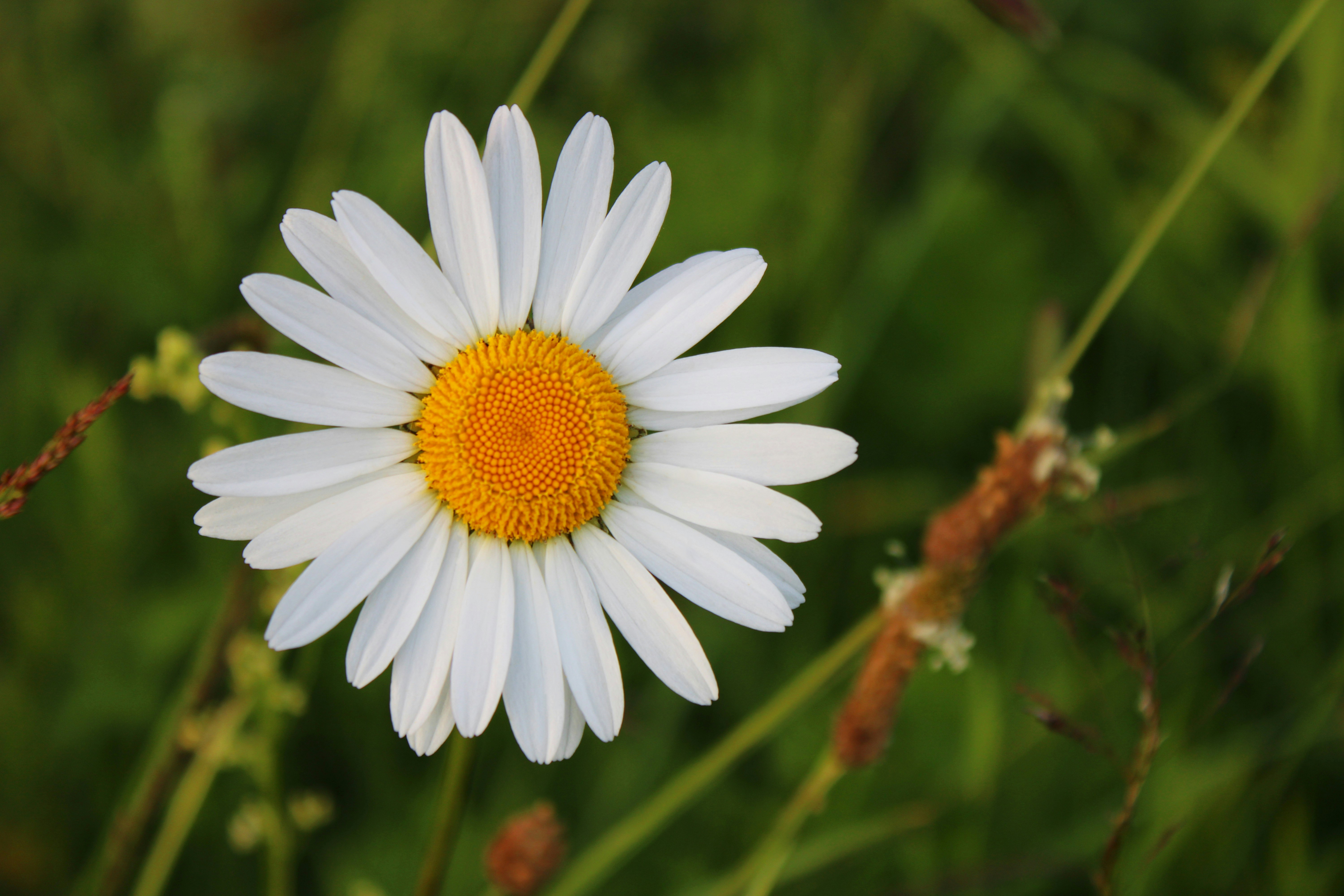 Photo by slenderamigo