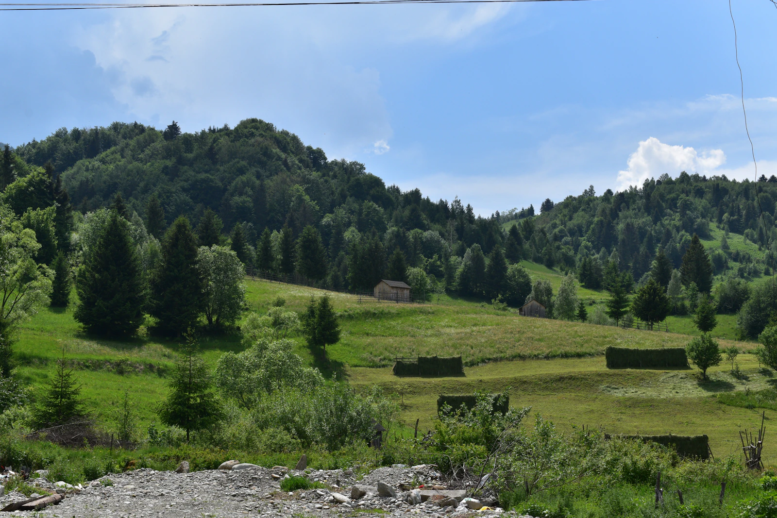 Meadows and forest in the hills — Maramureș, Romania
