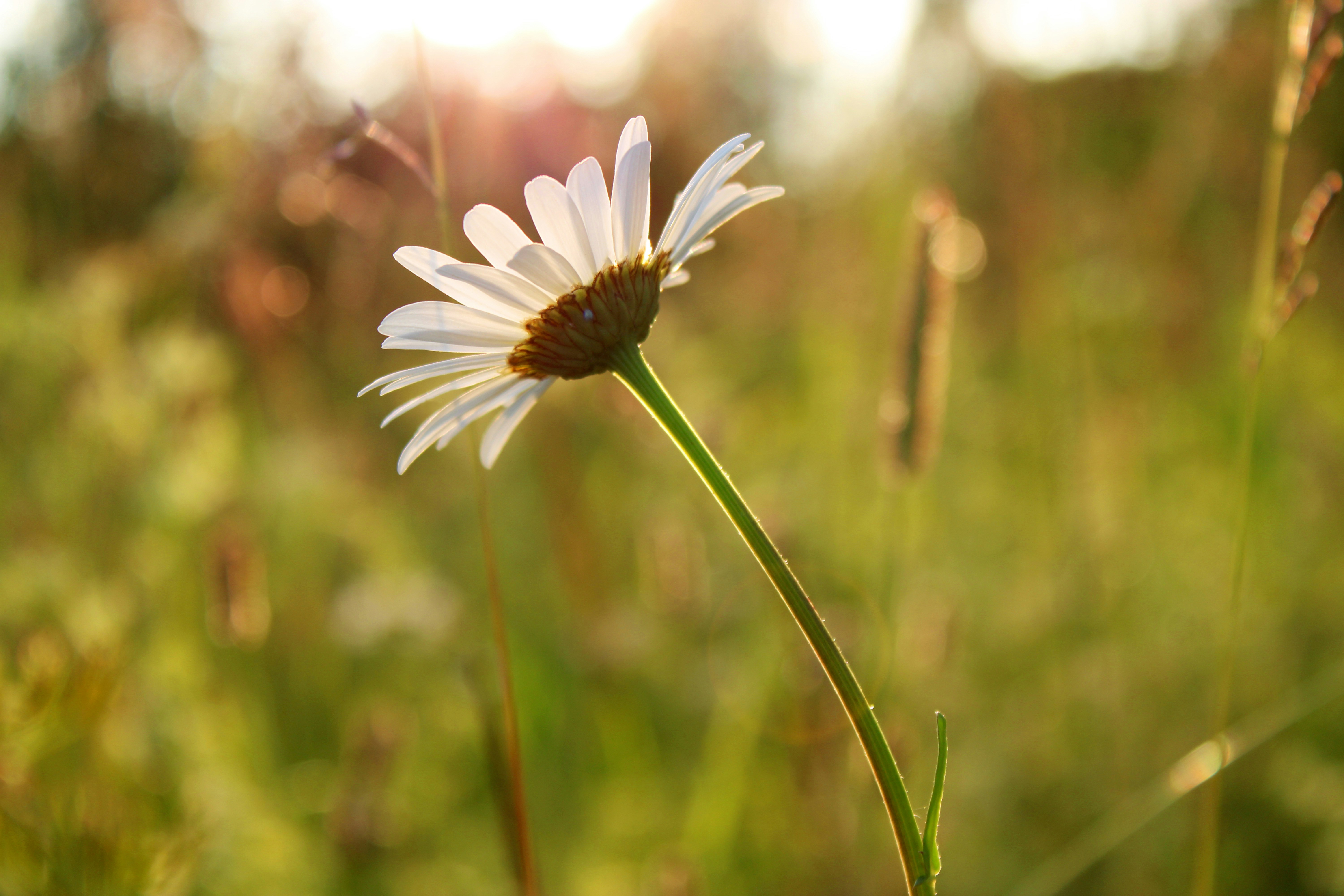 Photo by slenderamigo