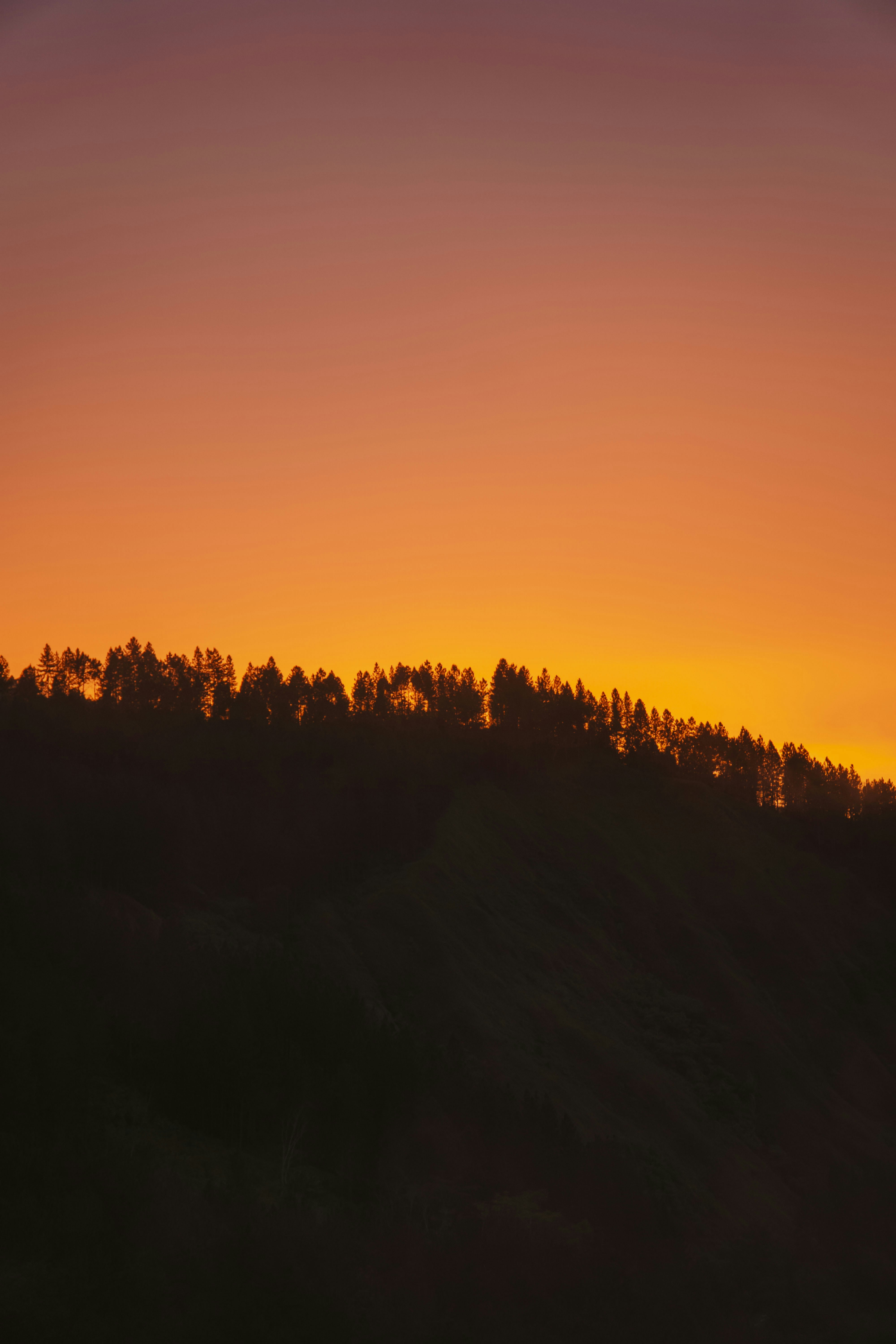 Photo by densauxsoy