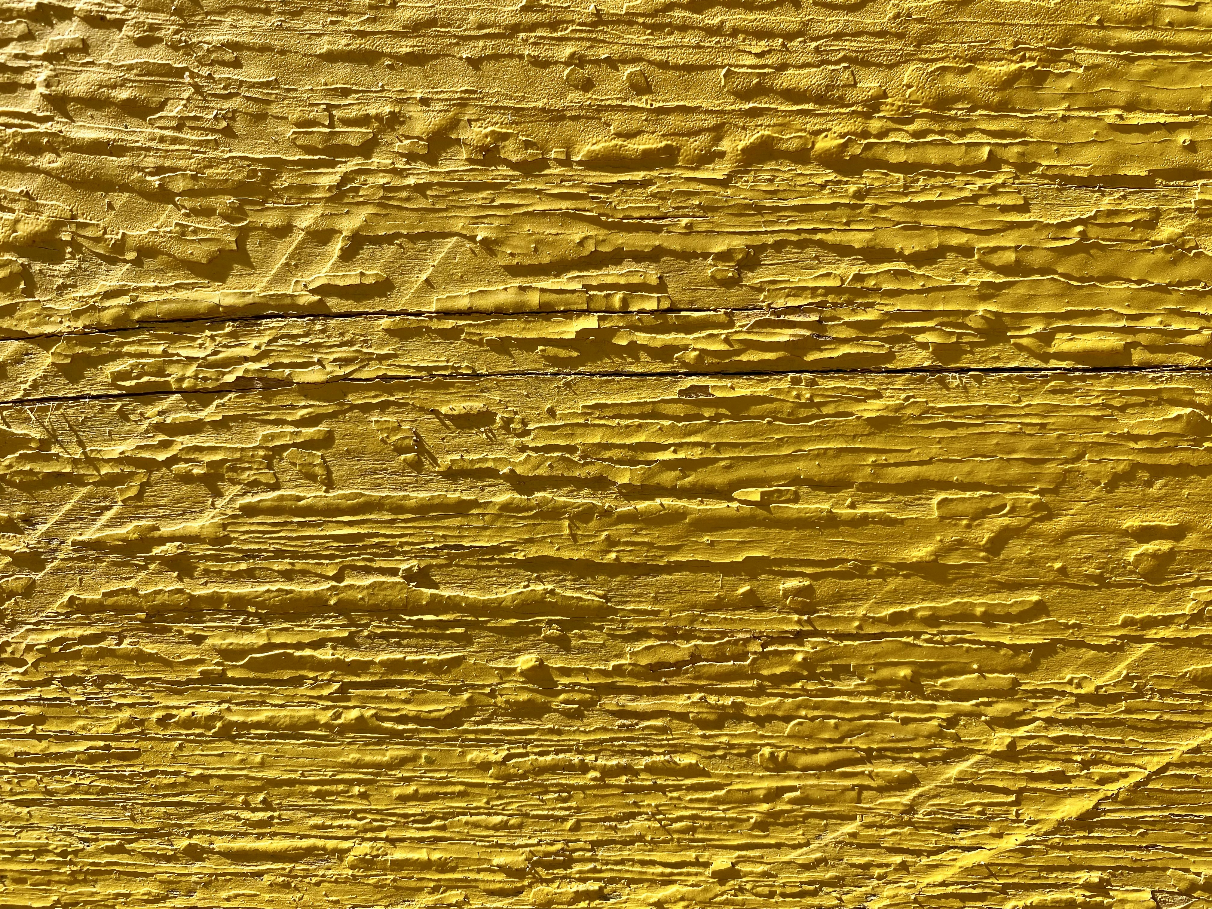 yellow turmeric wallpaper, wallpaper, 8 Manfaat Air Kunyit untuk Wanita yang Jarang Diketahui 5