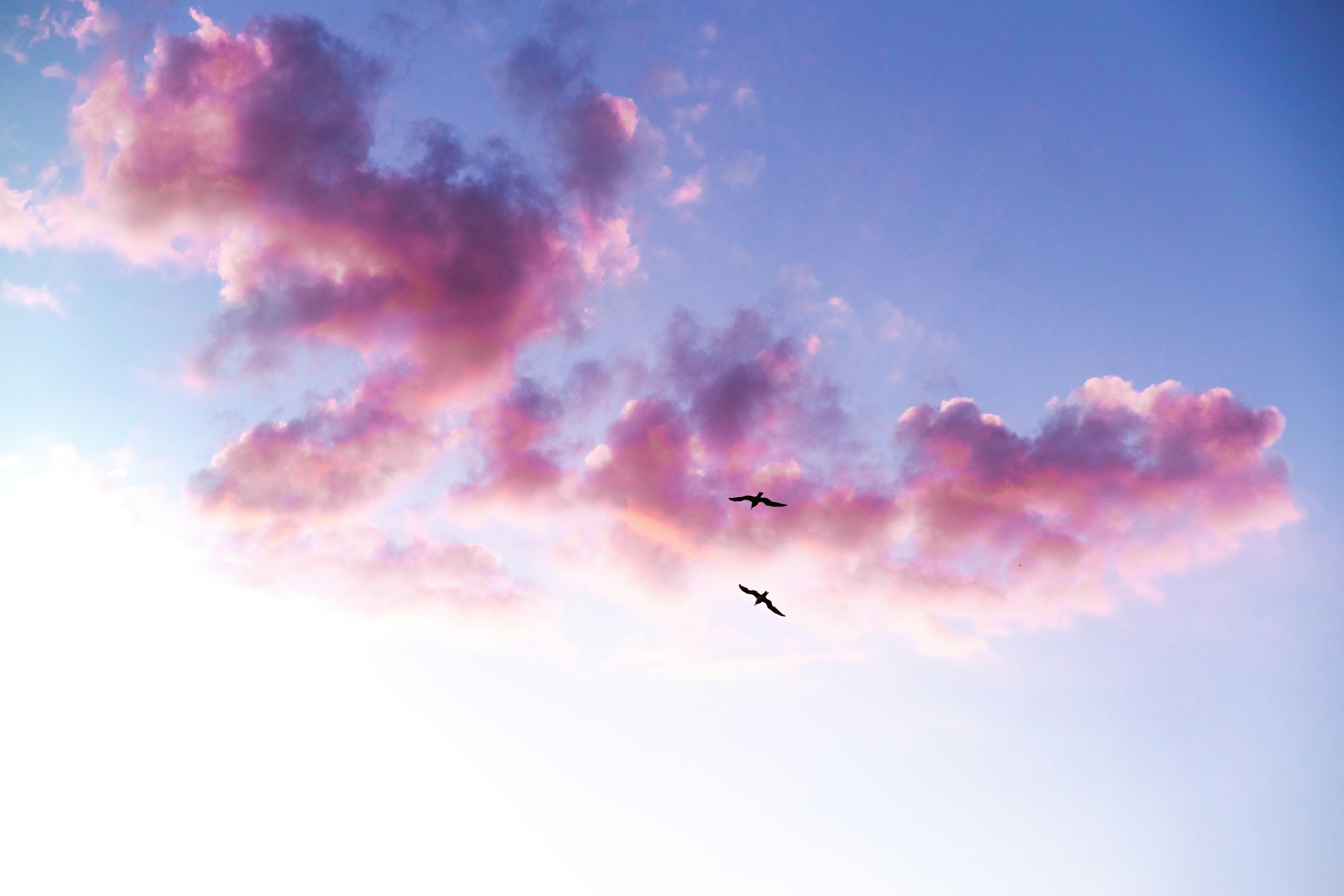 Photo by brunovdkraan