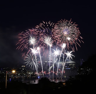 fireworks in the sky