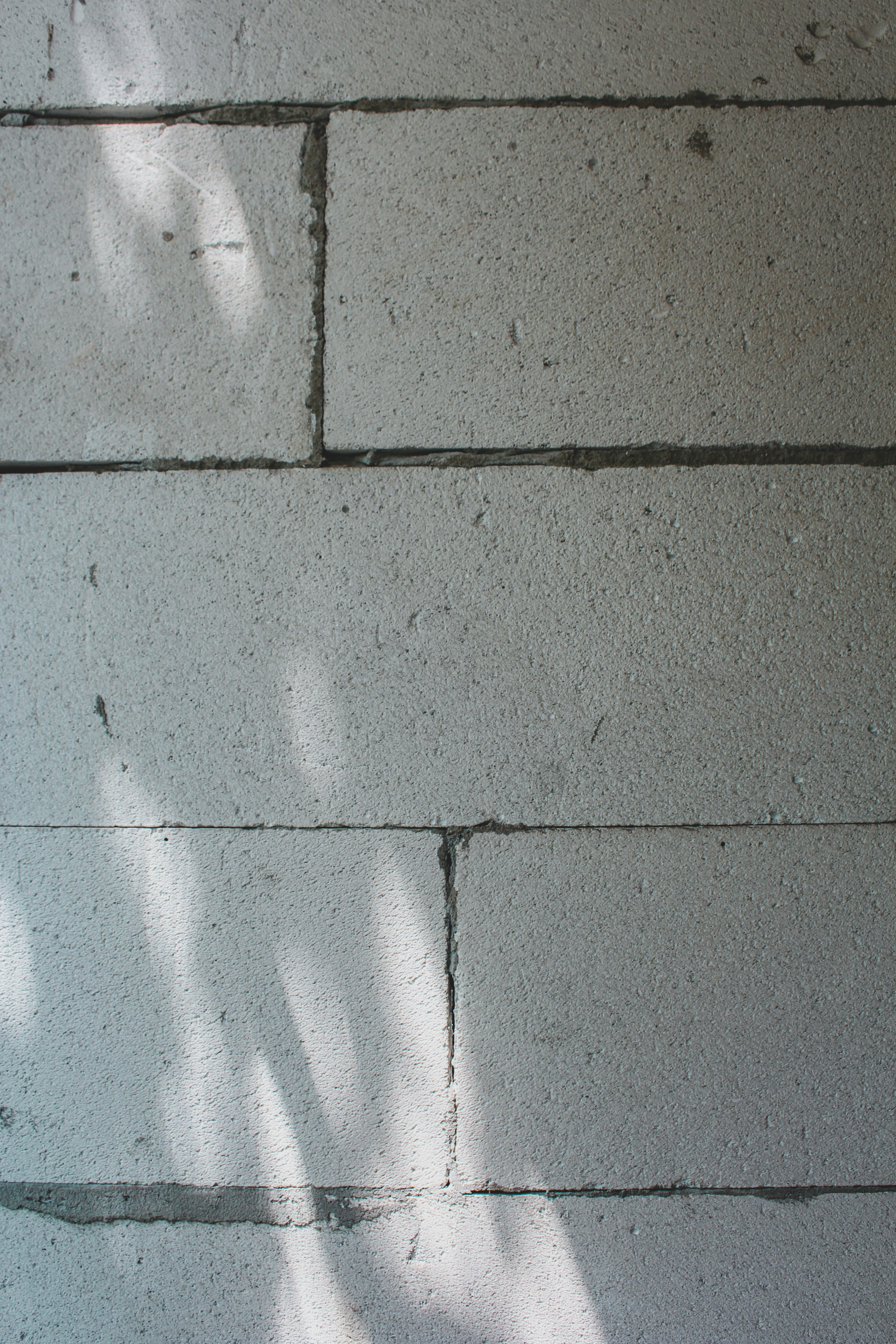 Photo by czapp_arpad