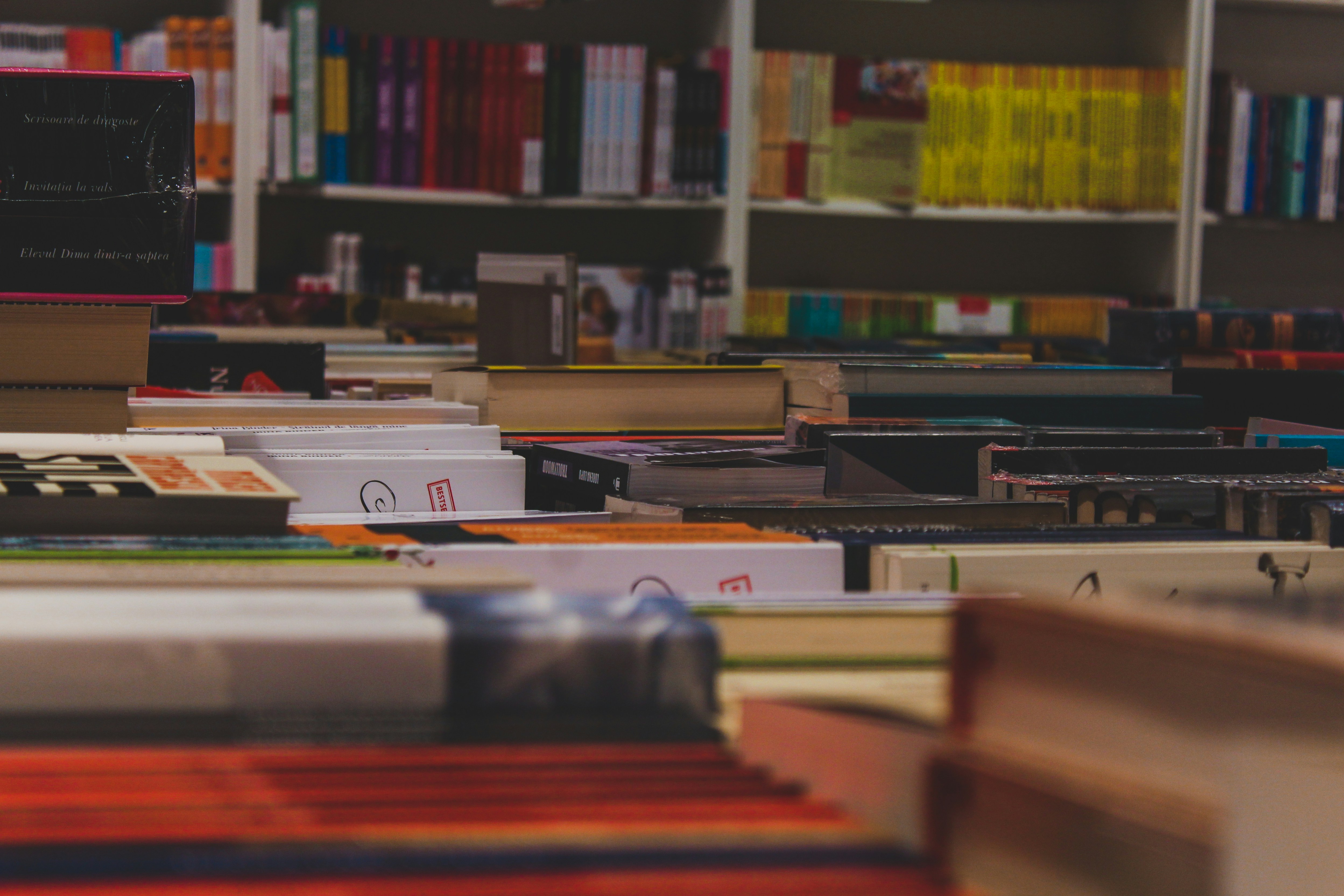 Photo by czapp_arpad