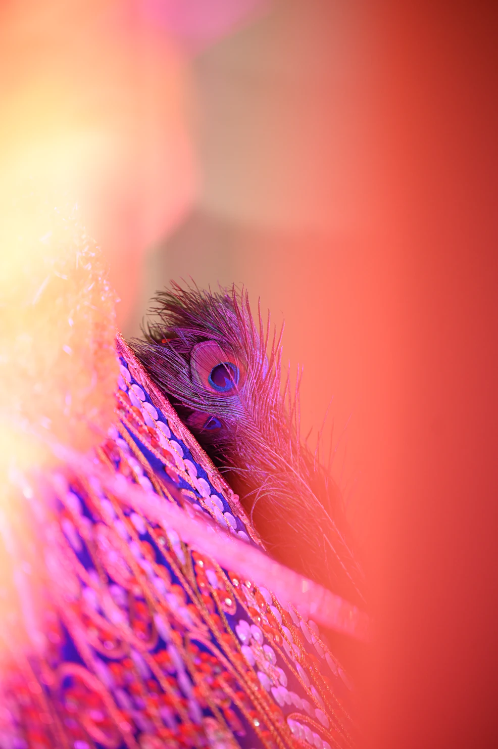 Khatu Shyam Ji Temple