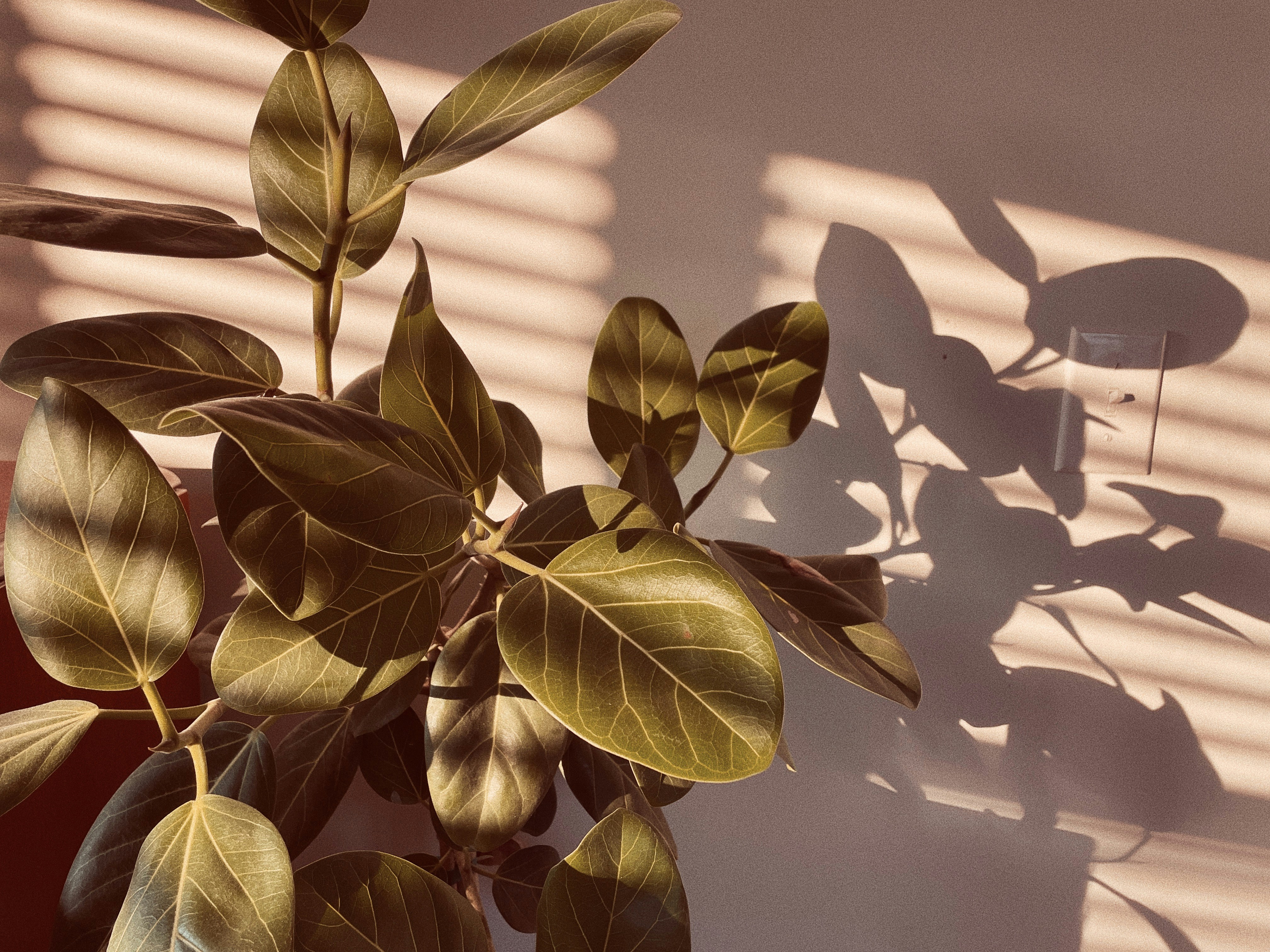 Photo by nickdepartee