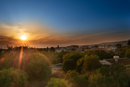 a landscape with trees and buildings