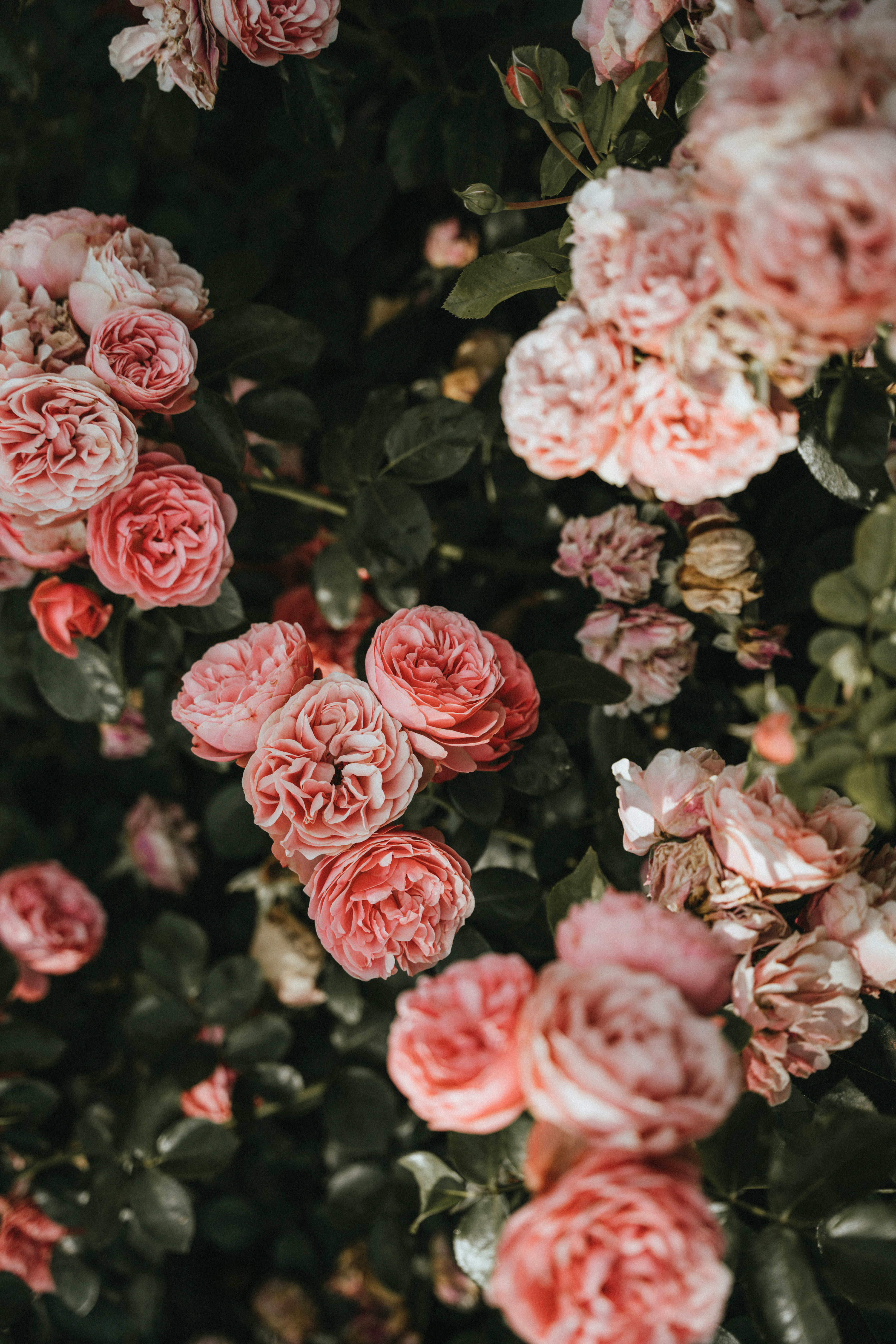 Photo by marinareich