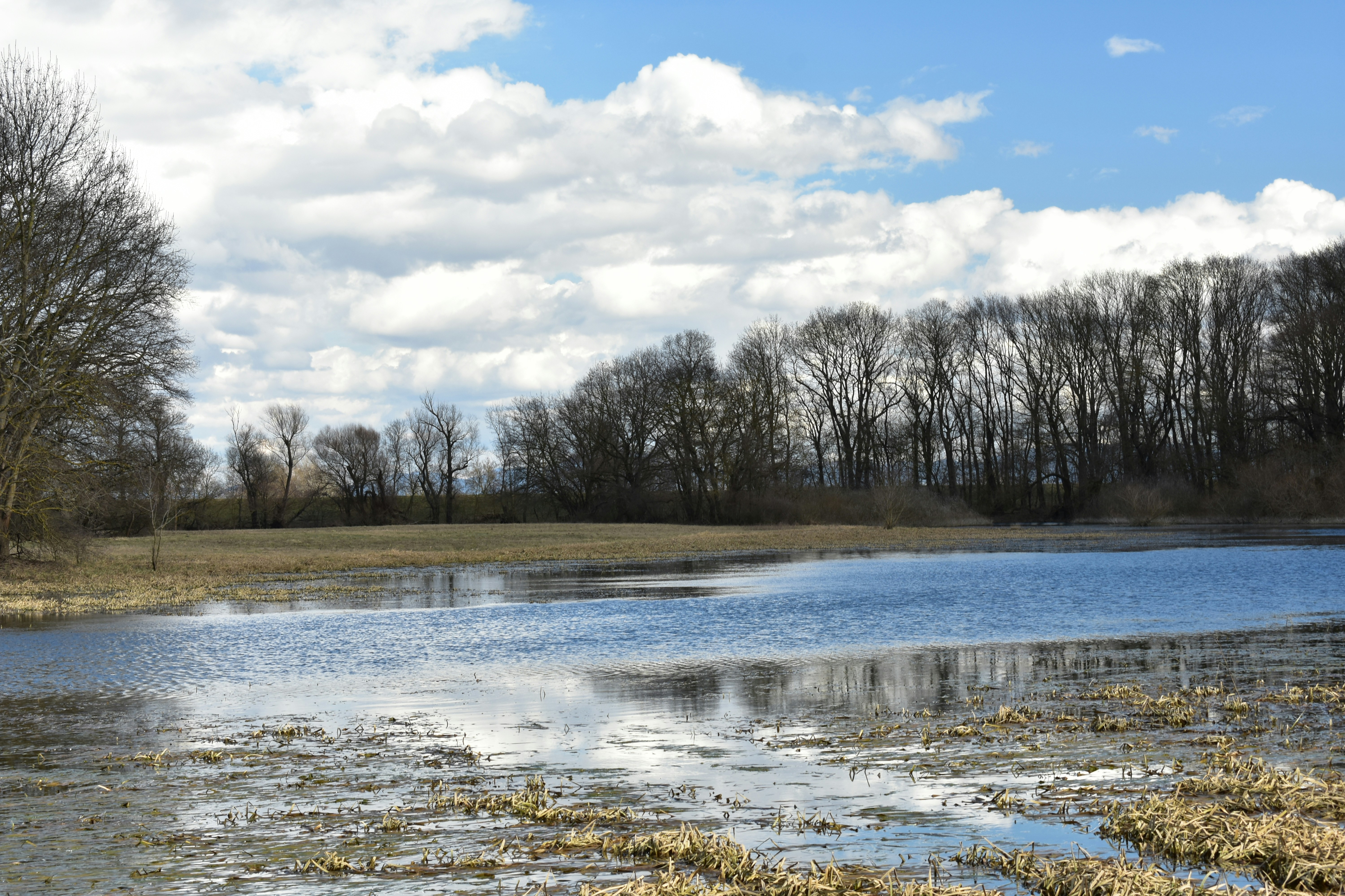 Photo by oxganggreen