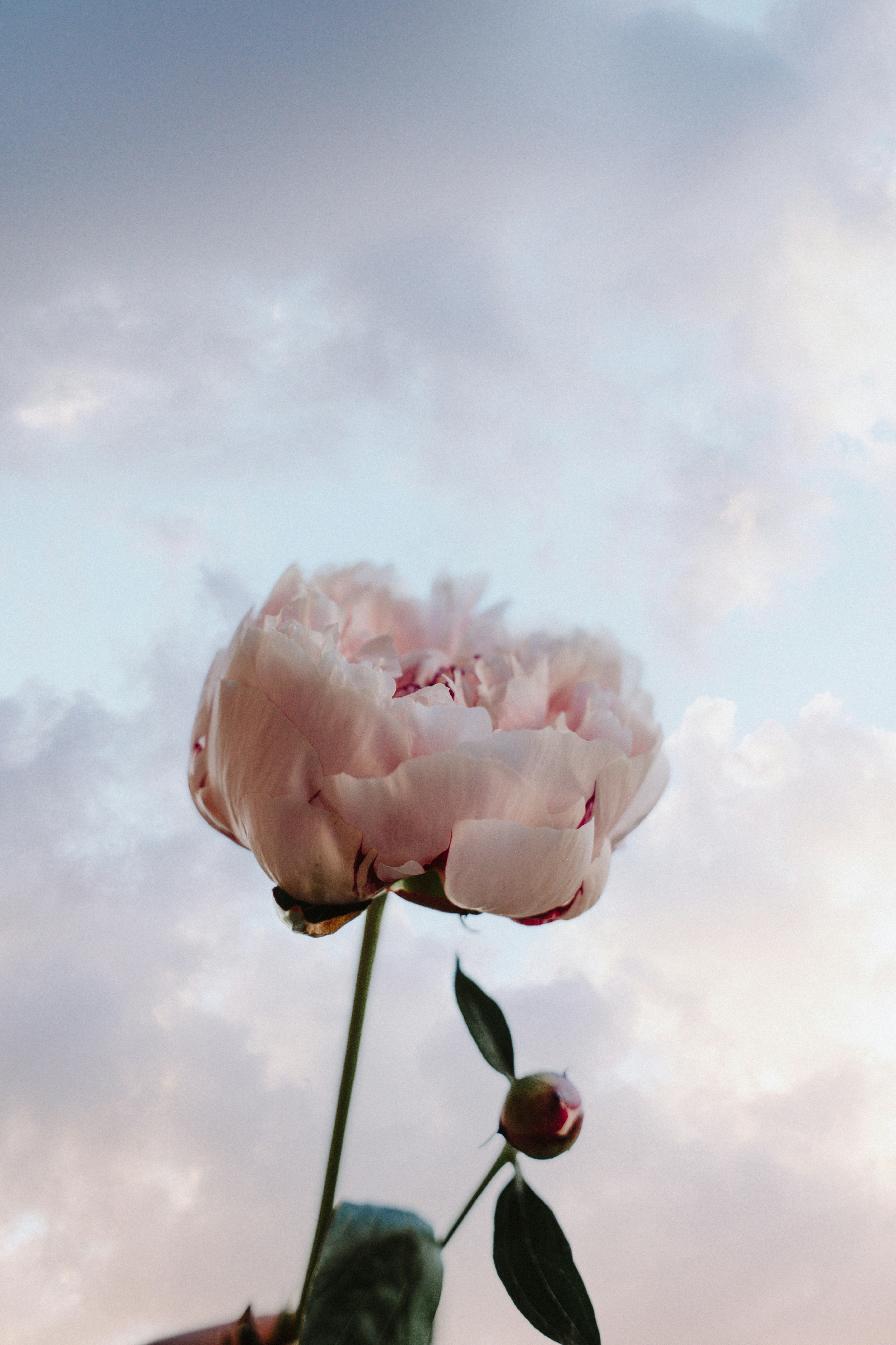 Photo by marinareich