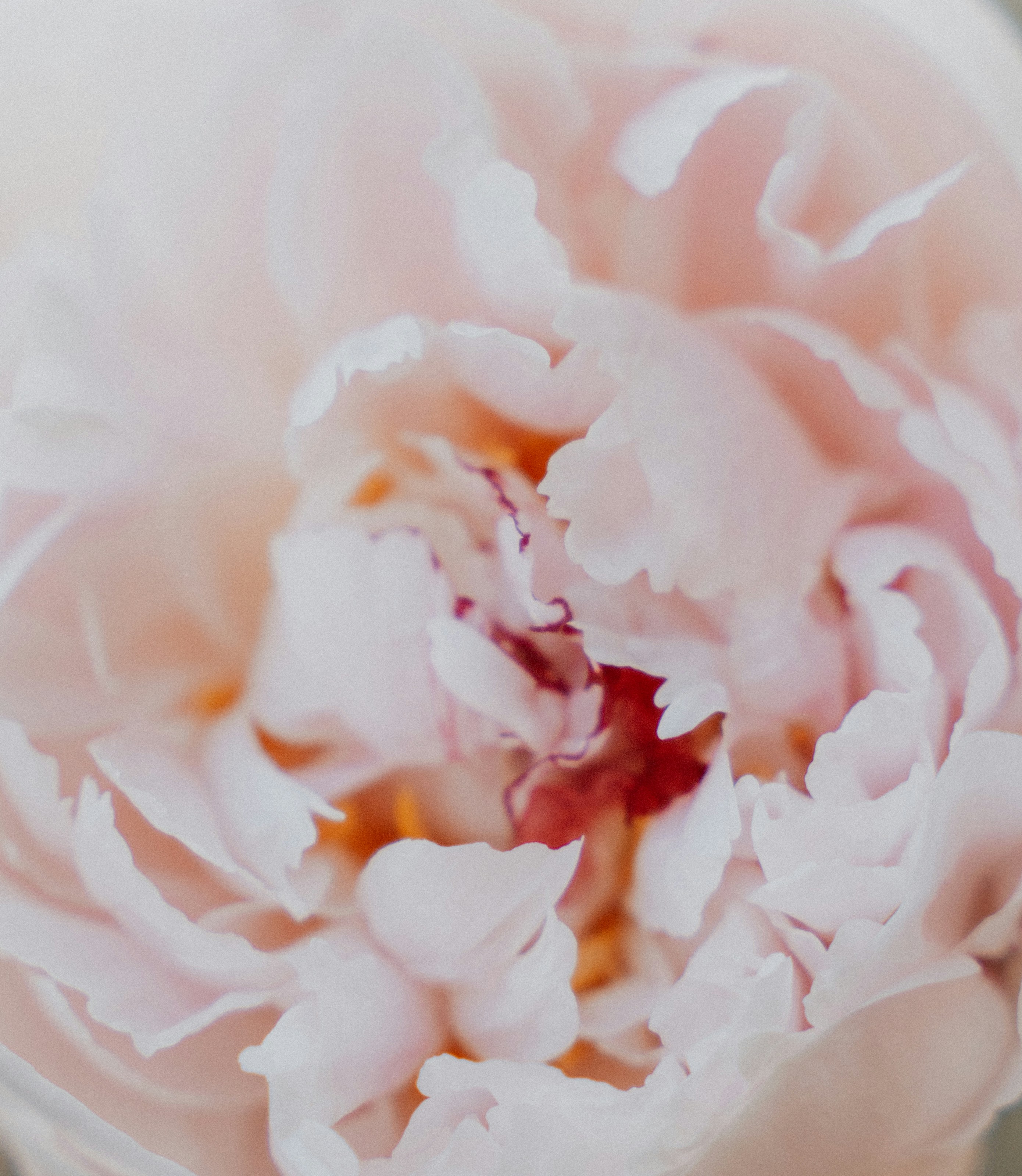 Photo by marinareich