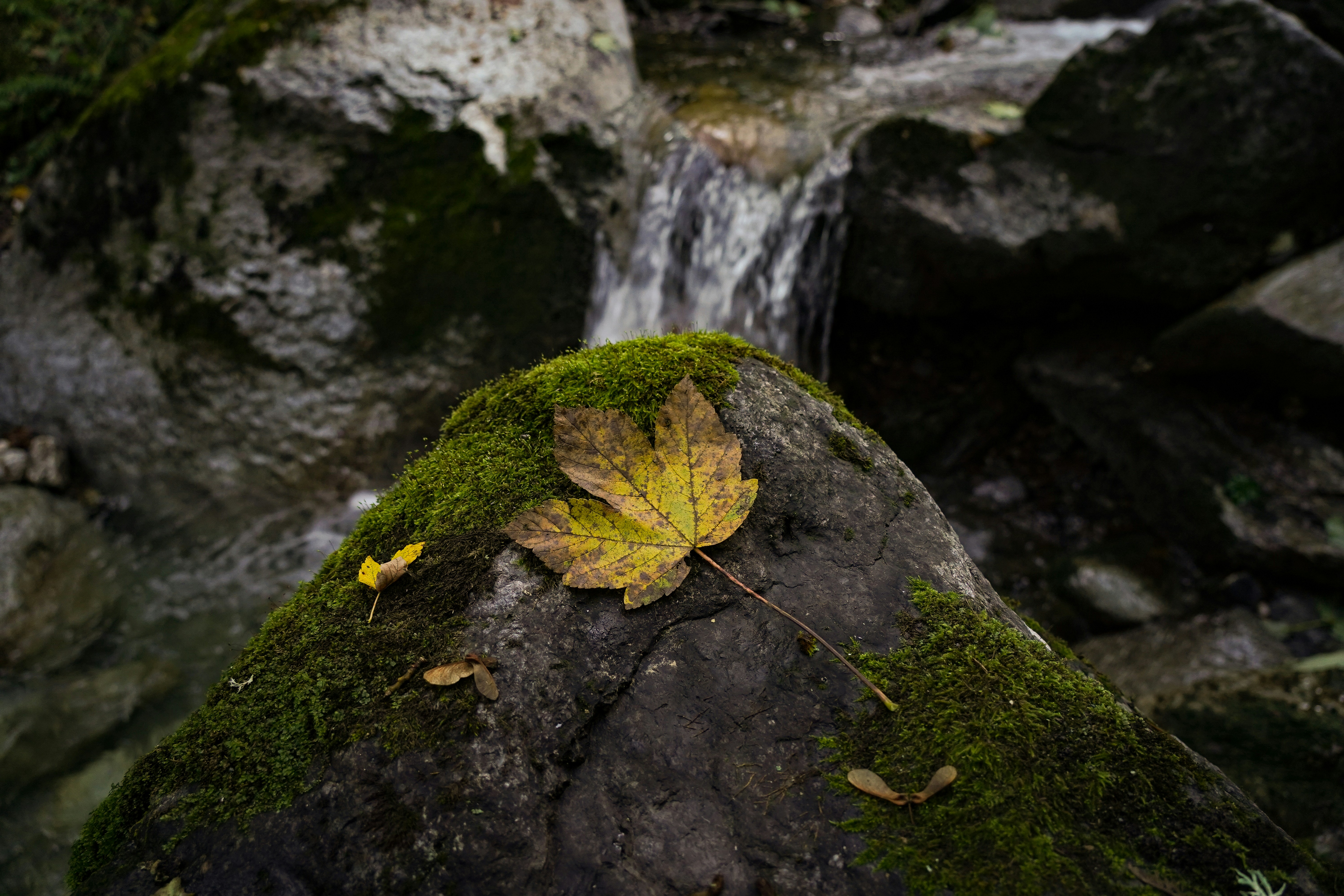 Photo by nathan_gubler