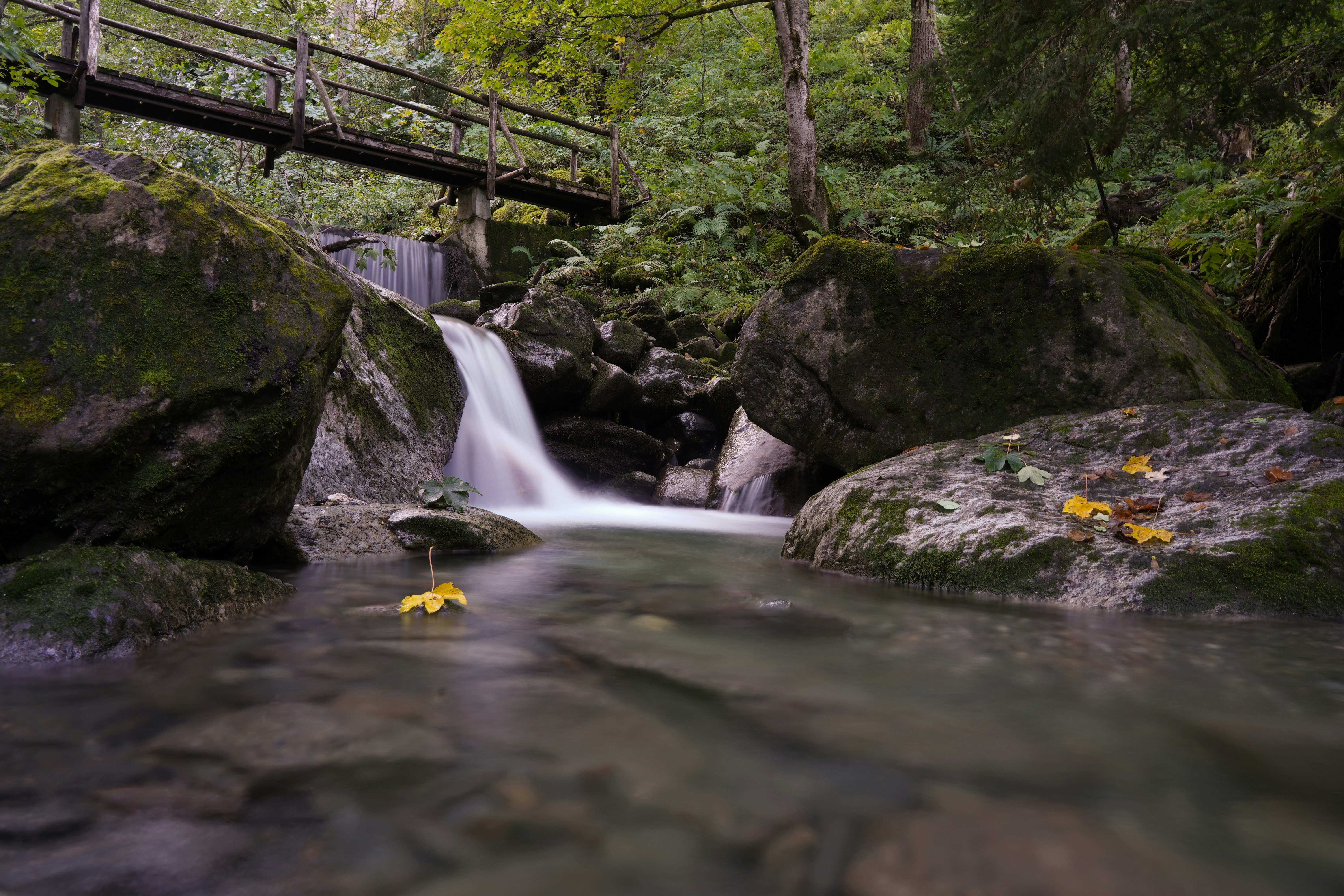 Photo by nathan_gubler