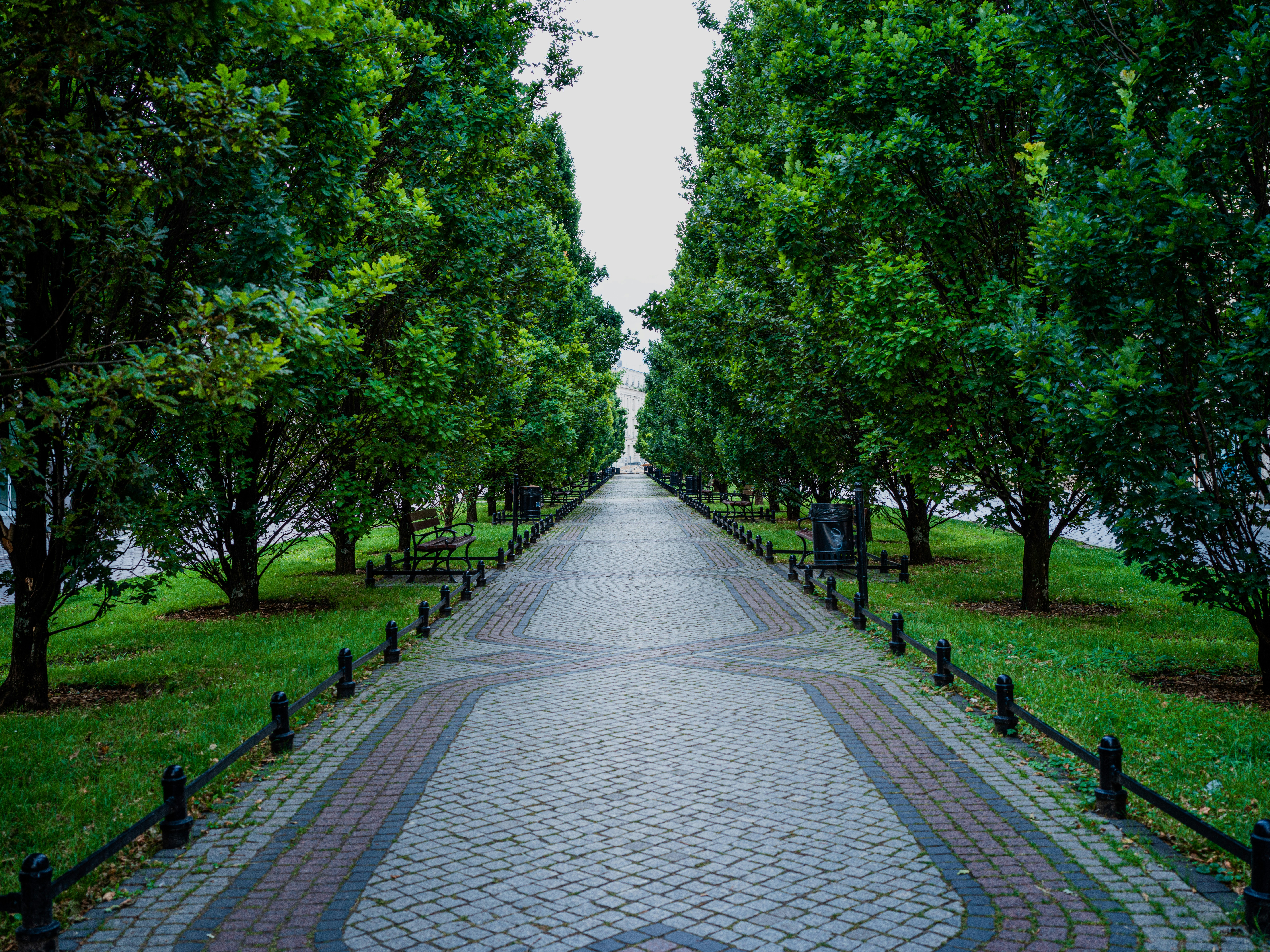 Photo by egorkomarov