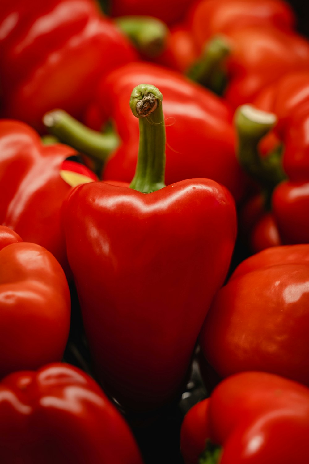 a group of red tomatoes