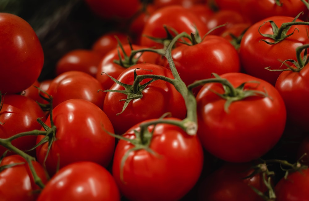 a pile of red tomatoes