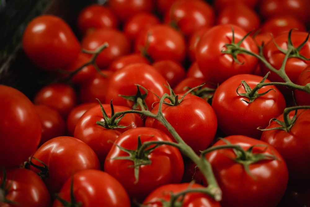 a pile of red tomatoes