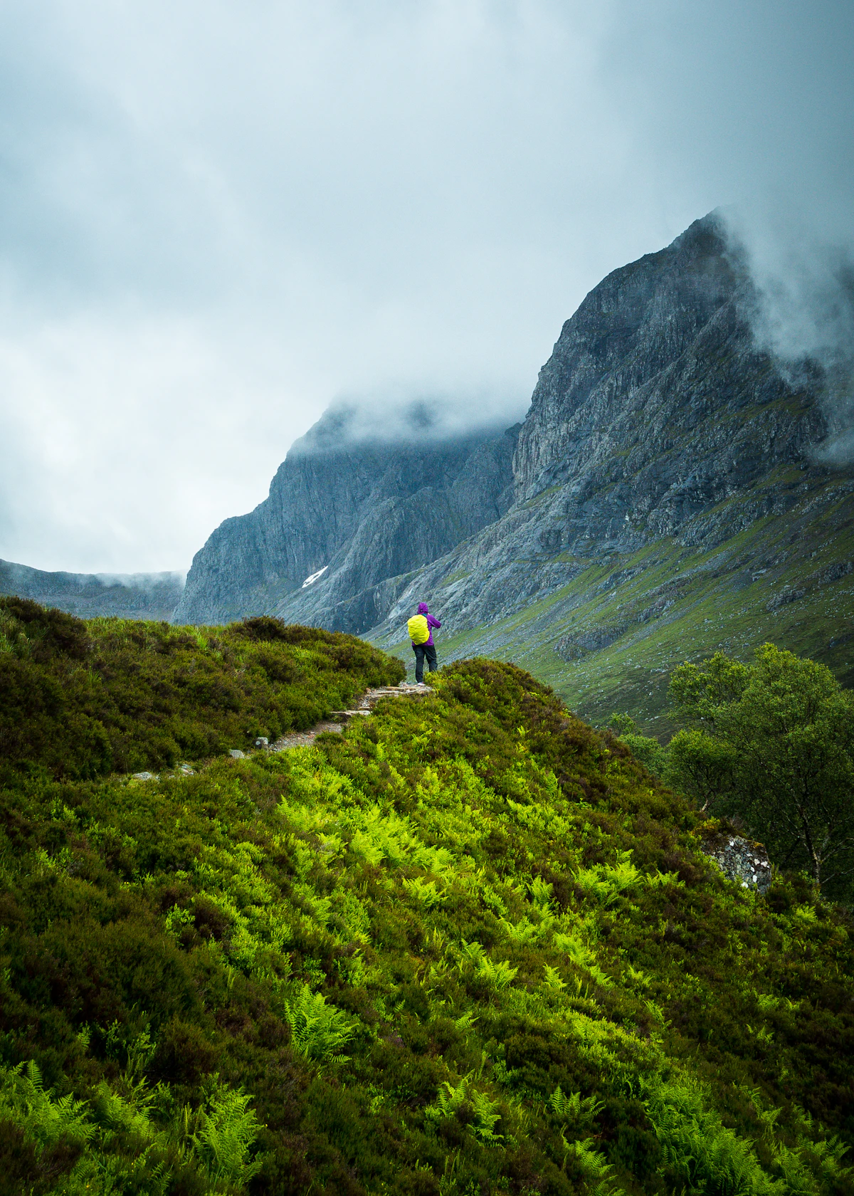 A walker on a green ridge looking toward the cliffs of Ben Nevis