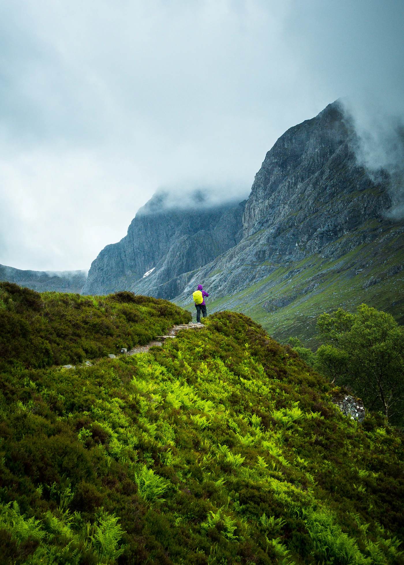 A walker on a green ridge looking toward the cliffs of Ben Nevis