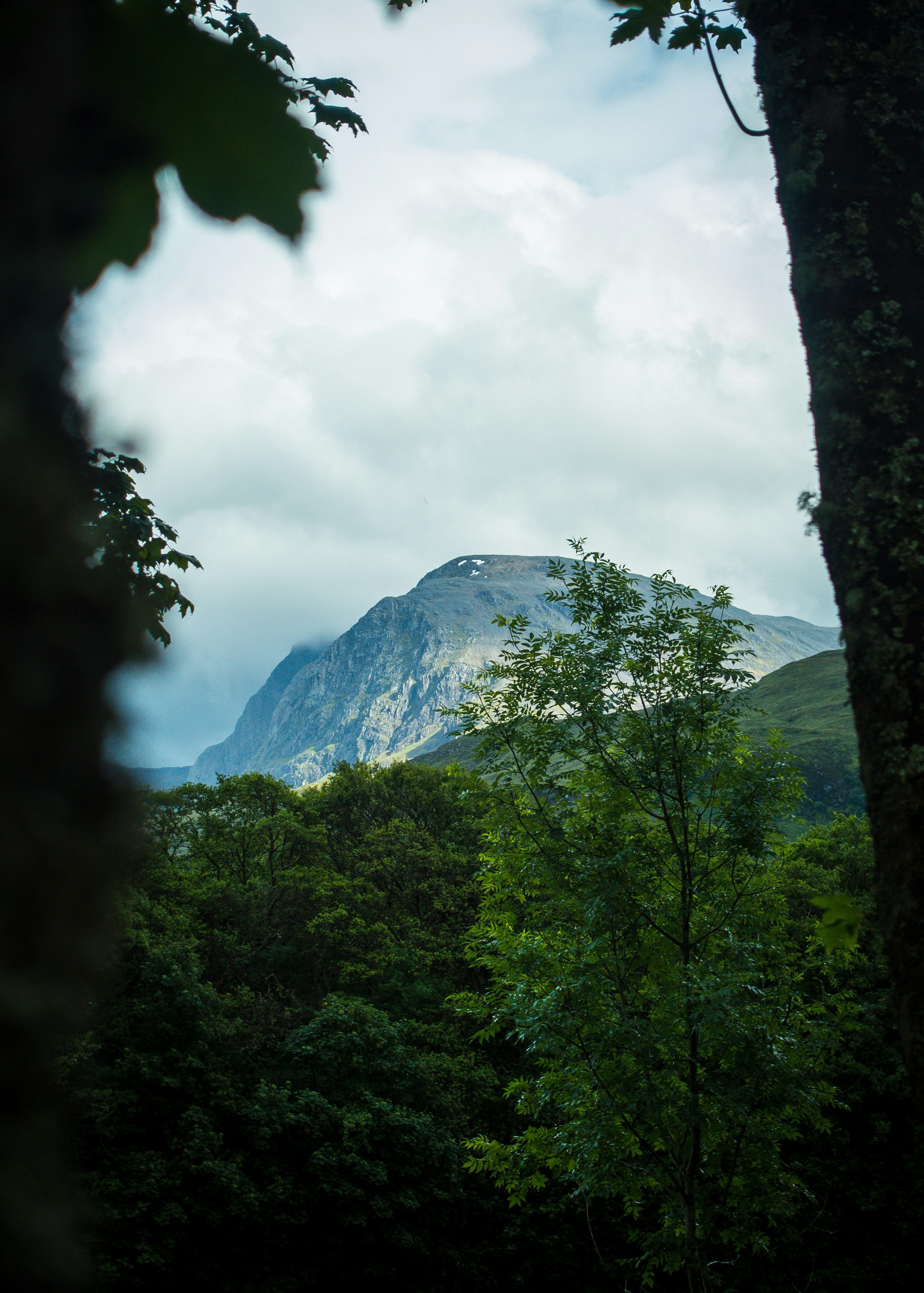 Photo by shouldbelost