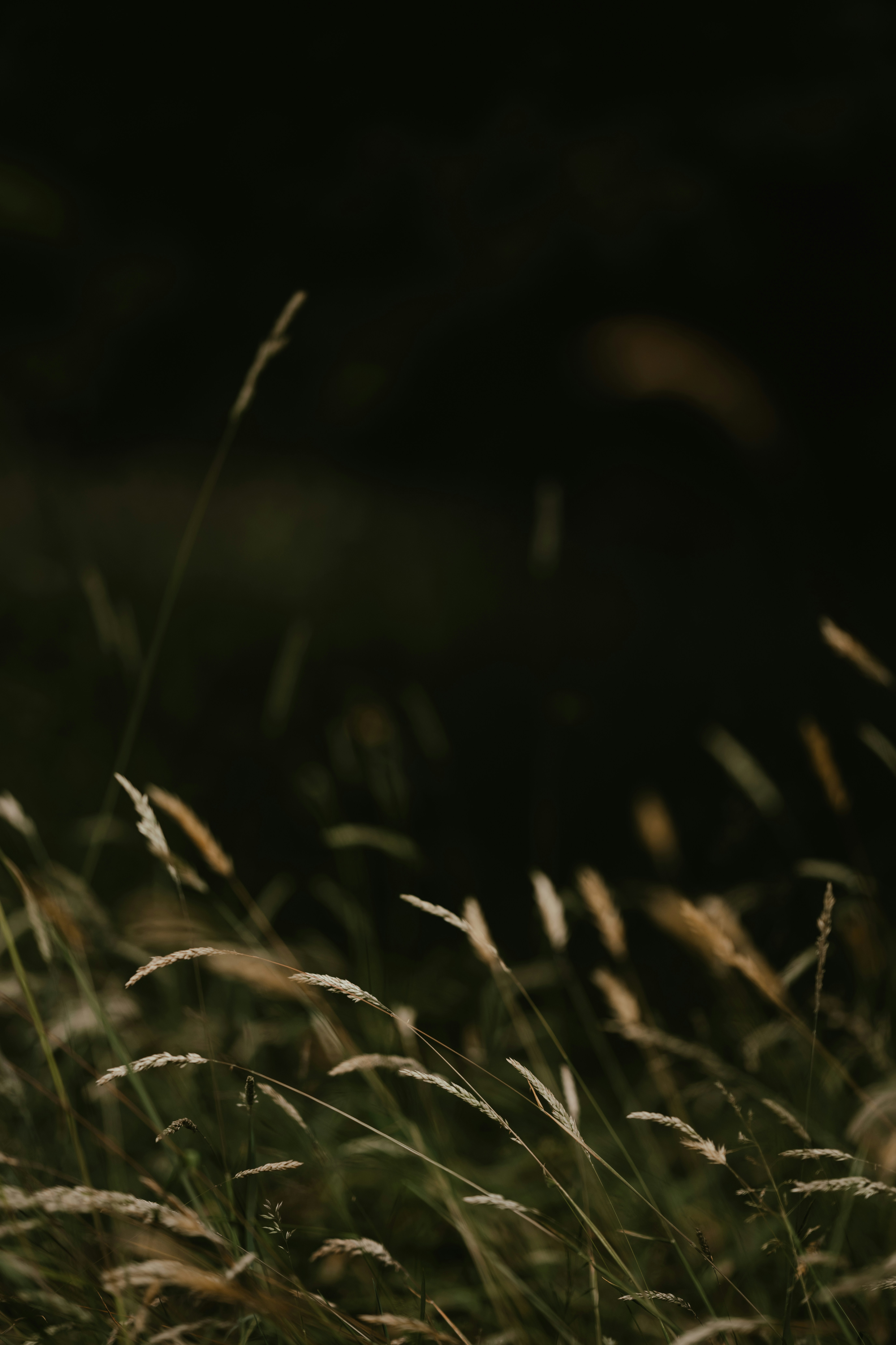 Photo by anniespratt