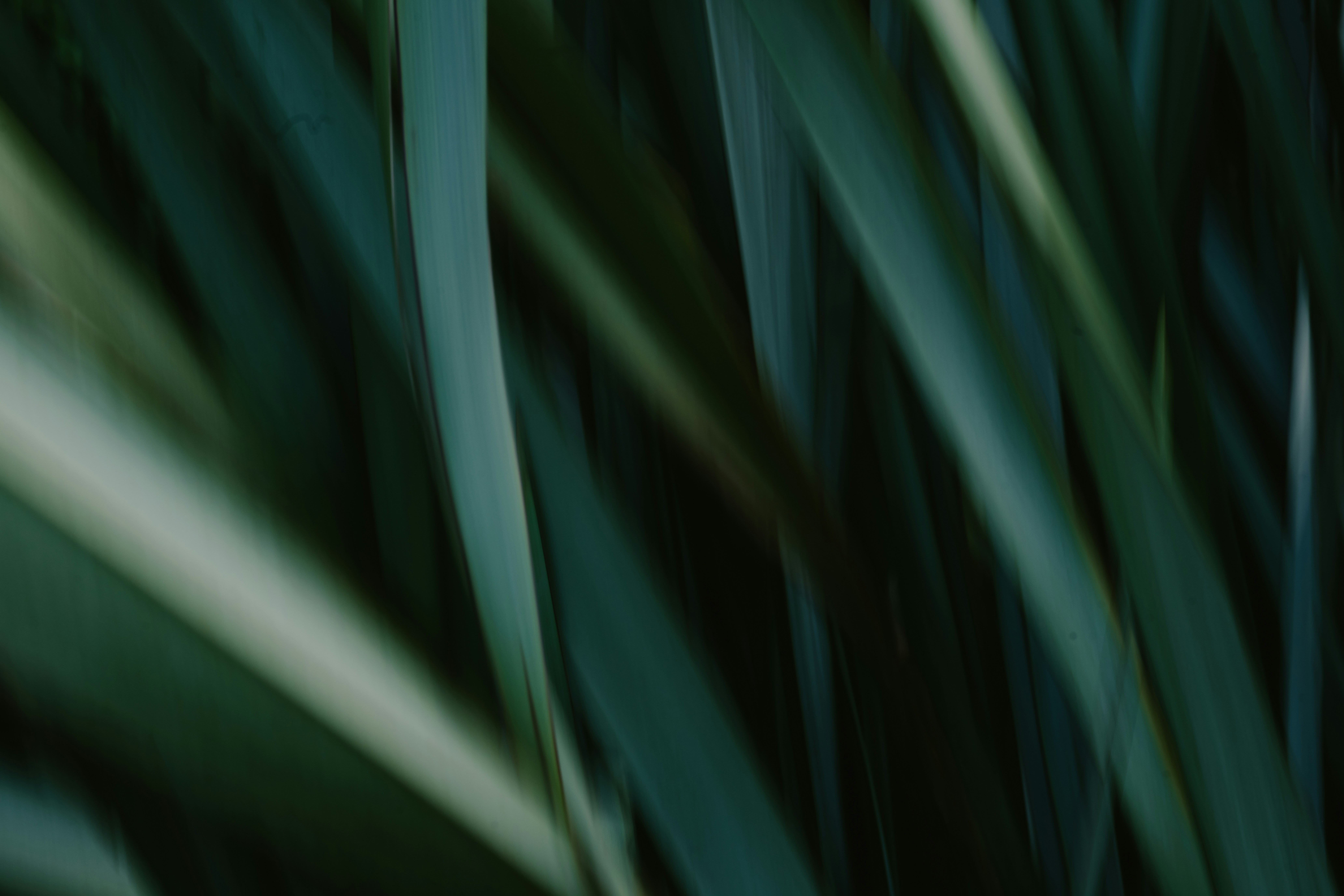 Photo by anniespratt